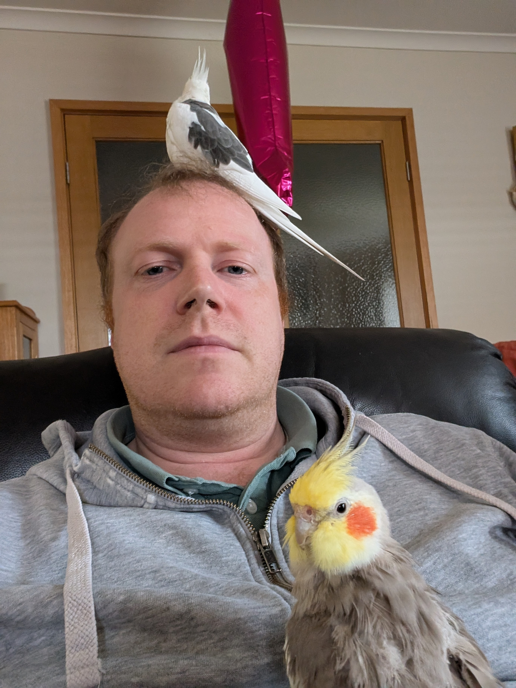 A person is sitting with a small parrot on their chest and another perched on their head.