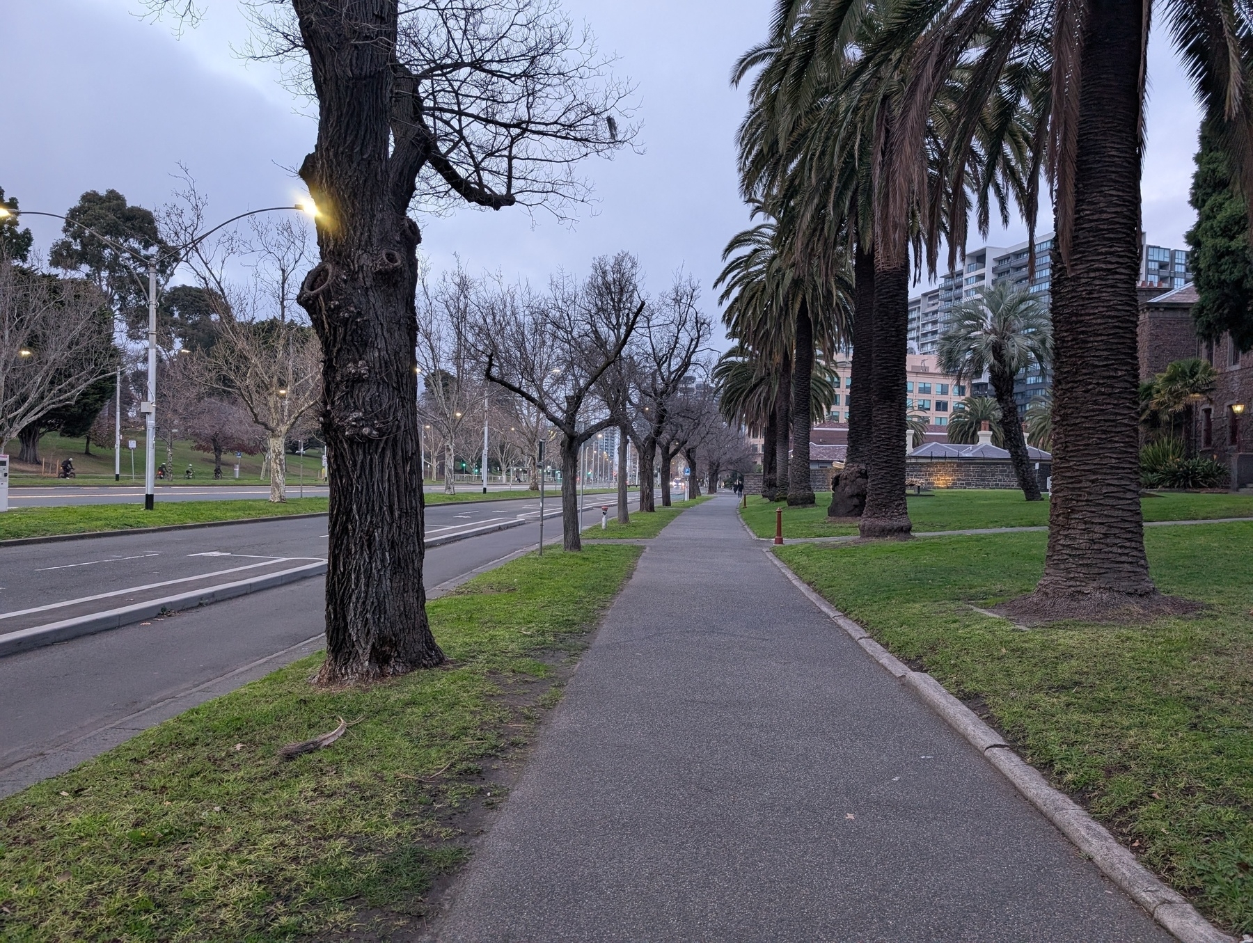 Auto-generated description: A sidewalk lined with bare trees and palm trees runs alongside a street in a park-like urban setting.