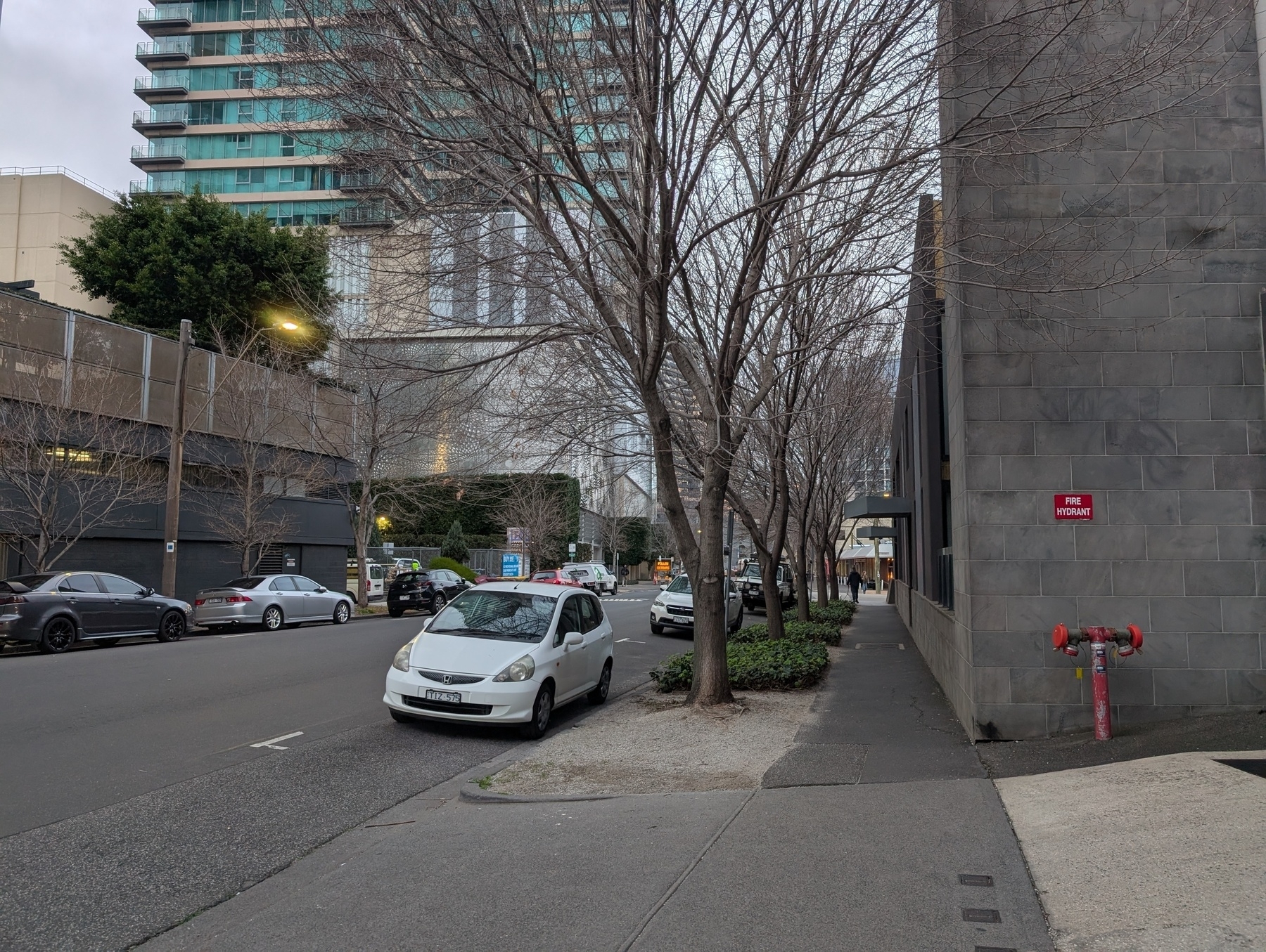 Auto-generated description: A city street scene featuring parked cars, bare trees, a tall building, and a sidewalk in an urban area.