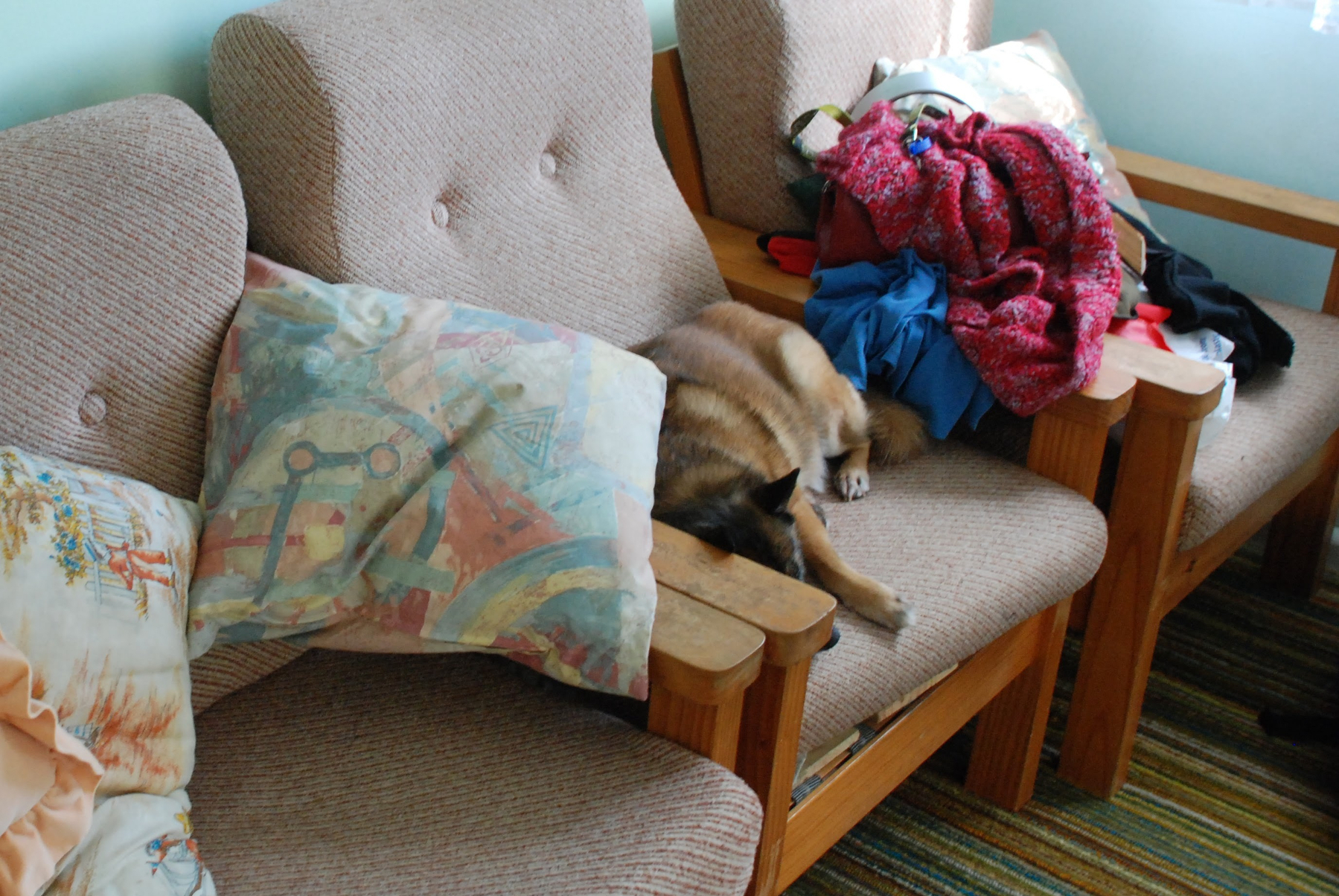 Auto-generated description: A dog is sleeping on a couch next to piles of clothes and pillows.