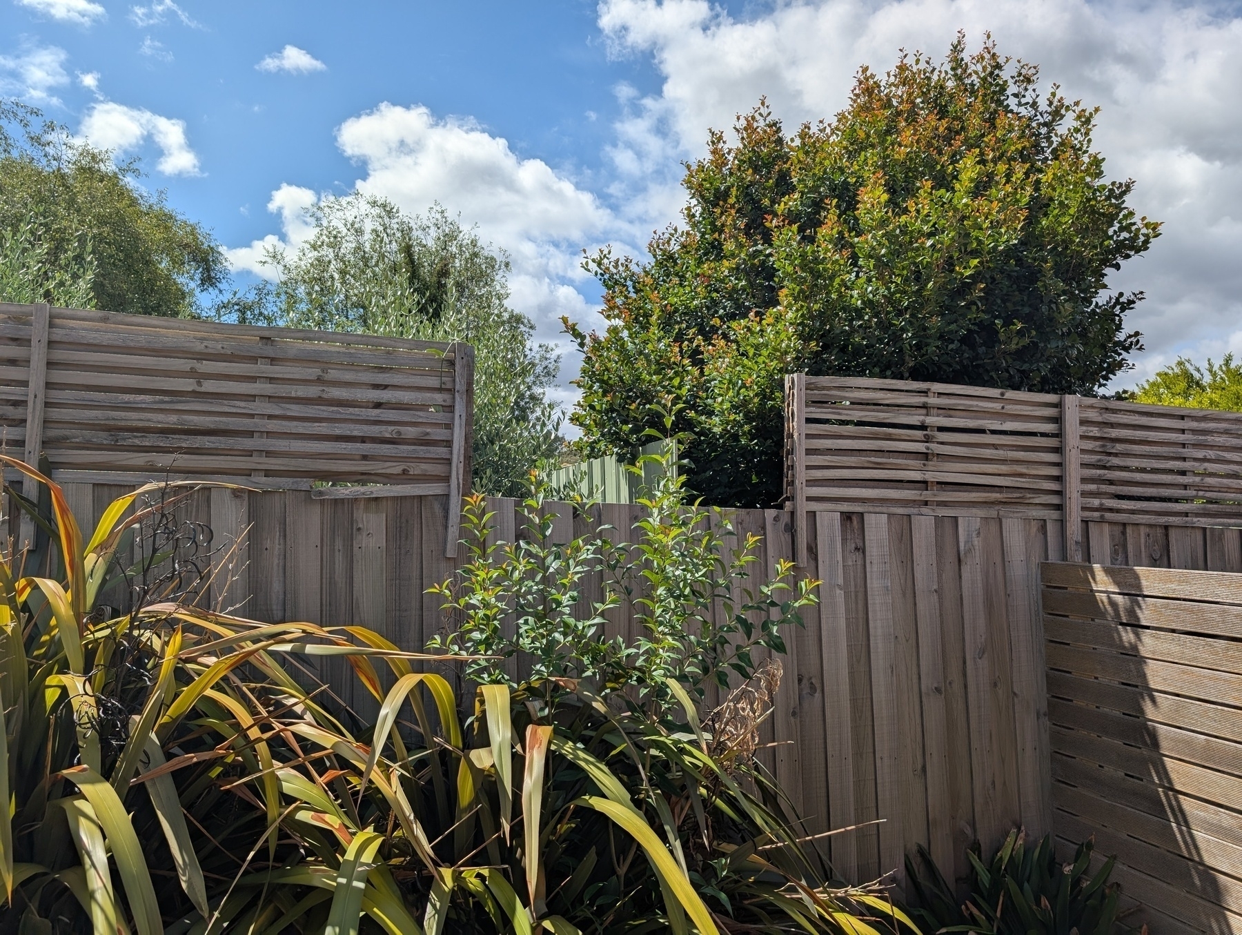 A wooden fence surrounds a garden with leafy plants, set against a backdrop of trees and a partly cloudy sky.