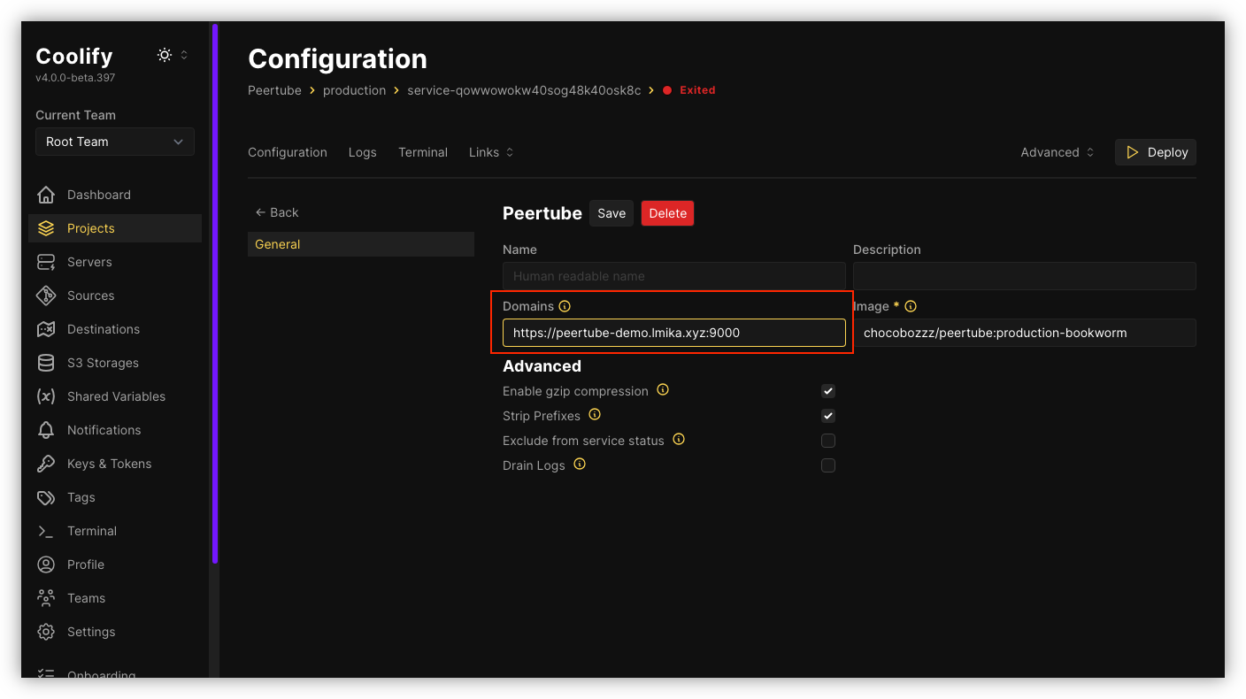 Auto-generated description: Configuration settings for a service called PeerTube are displayed, with options to save or delete, and a highlighted domain URL.