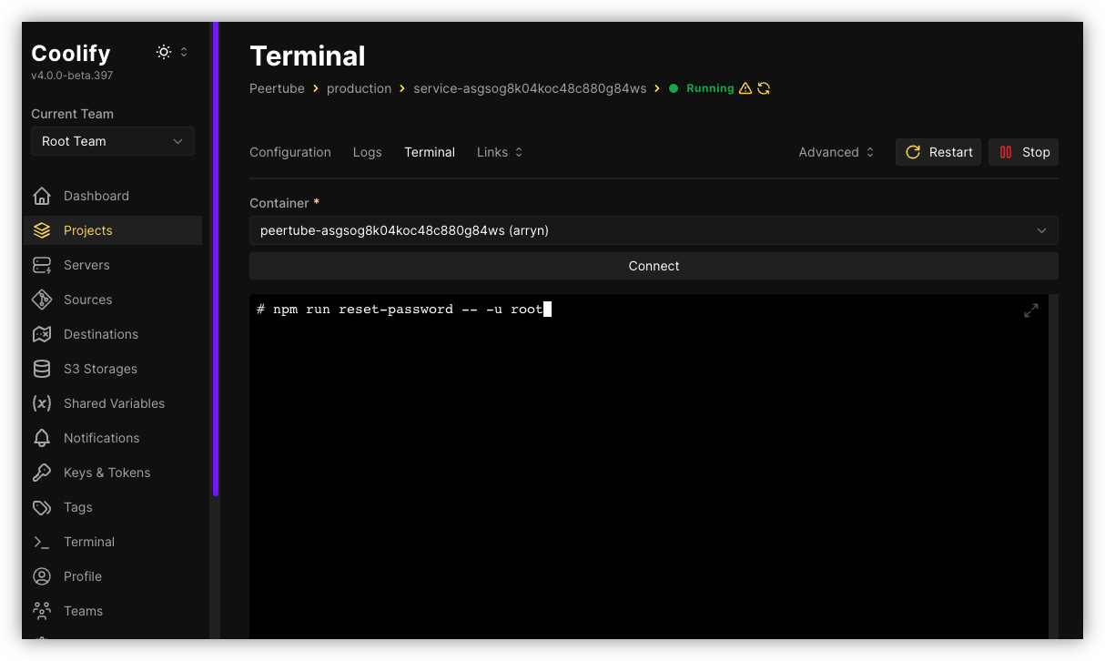 Auto-generated description: A terminal window is open on a dashboard interface with a command to reset a password being displayed.