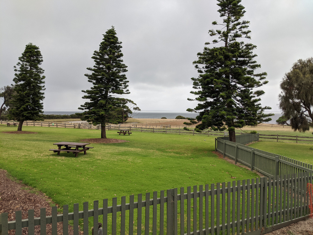 A grassy park with picnic tables and tall evergreen trees is bordered by a wooden fence, overlooking a coastal landscape under a cloudy sky.
