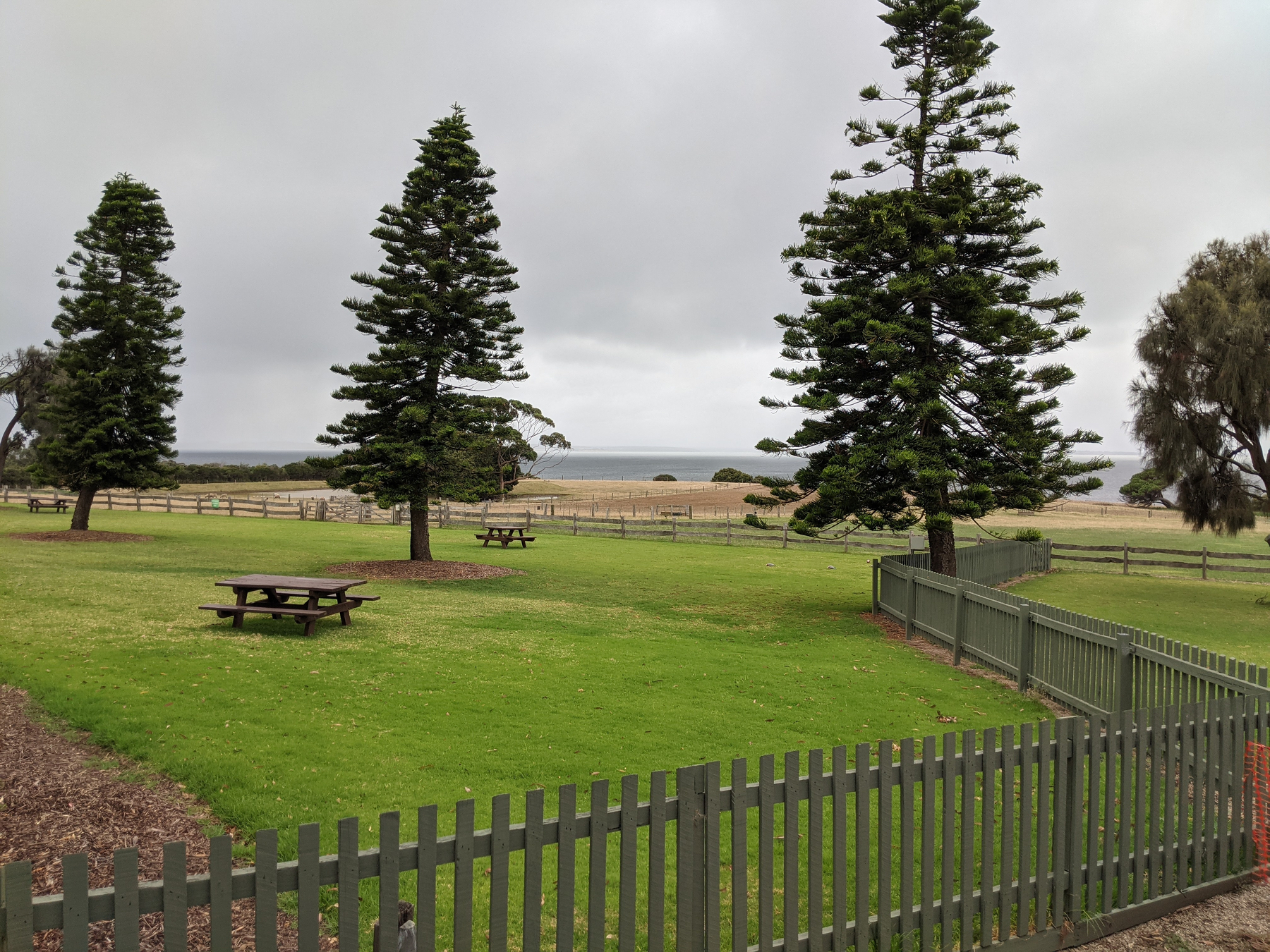 Auto-generated description: A grassy park with picnic tables and tall evergreen trees is bordered by a wooden fence, overlooking a coastal landscape under a cloudy sky.