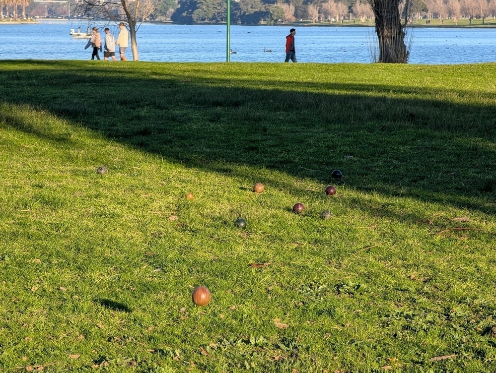A grassy park area with scattered balls, possibly for a lawn game, is bordered by a body of water and trees, with people walking in the background.