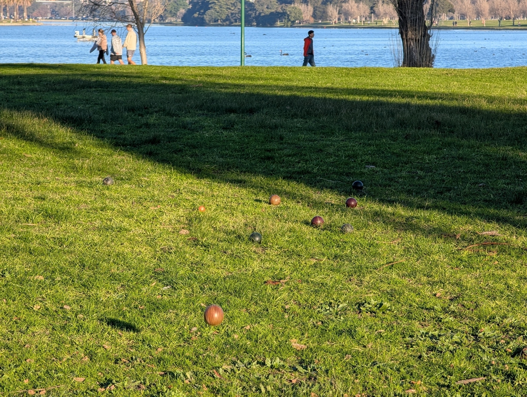 Auto-generated description: A grassy park area with scattered balls, possibly for a lawn game, is bordered by a body of water and trees, with people walking in the background.