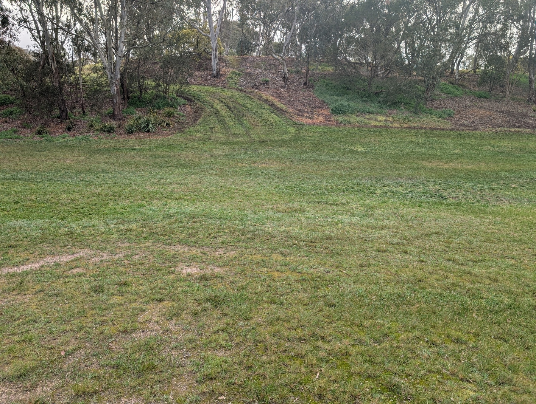 A grassy field with a path leading up a hill surrounded by trees.