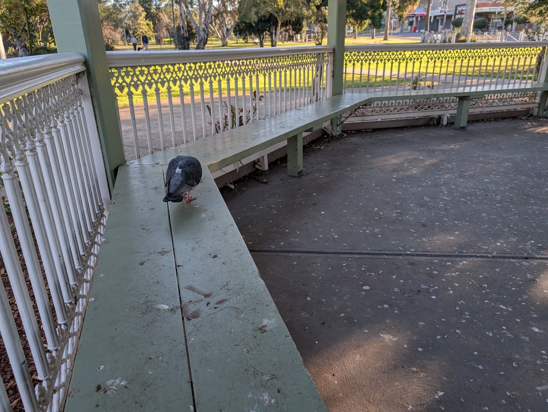 Auto-generated description: A pigeon stands on a green bench inside a gazebo surrounded by a park with trees and a walkway.