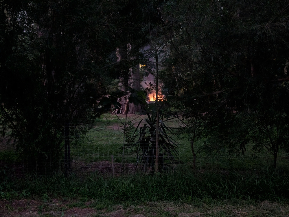 A small fire is visible through dense trees in a dark, wooded area.