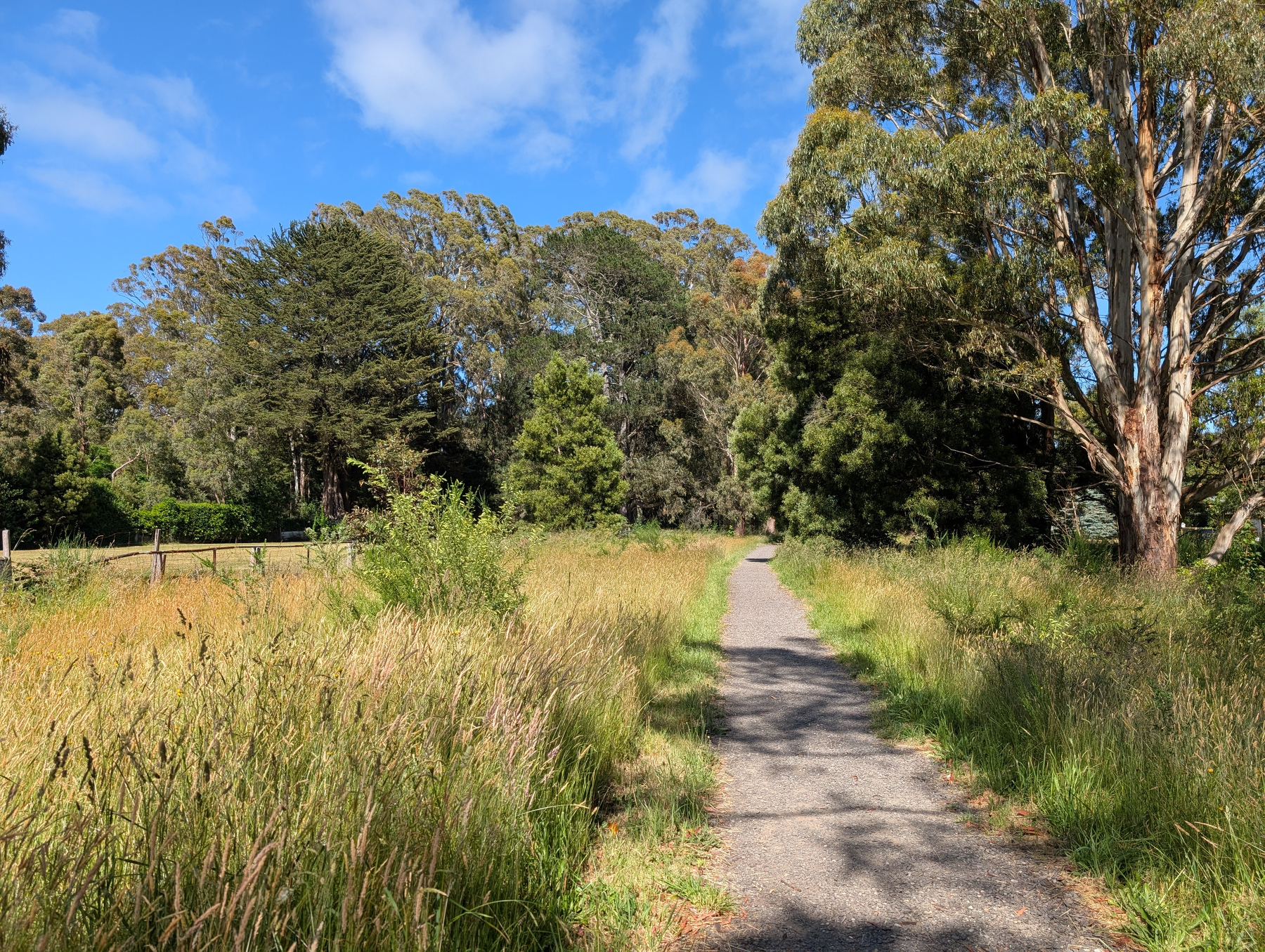 A narrow path winds through a lush, green landscape flanked by tall grass and trees under a blue sky.