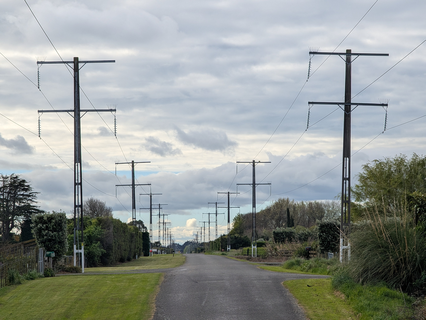 Auto-generated description: A paved road stretches into the distance flanked by grass and tall utility poles under a cloudy sky.