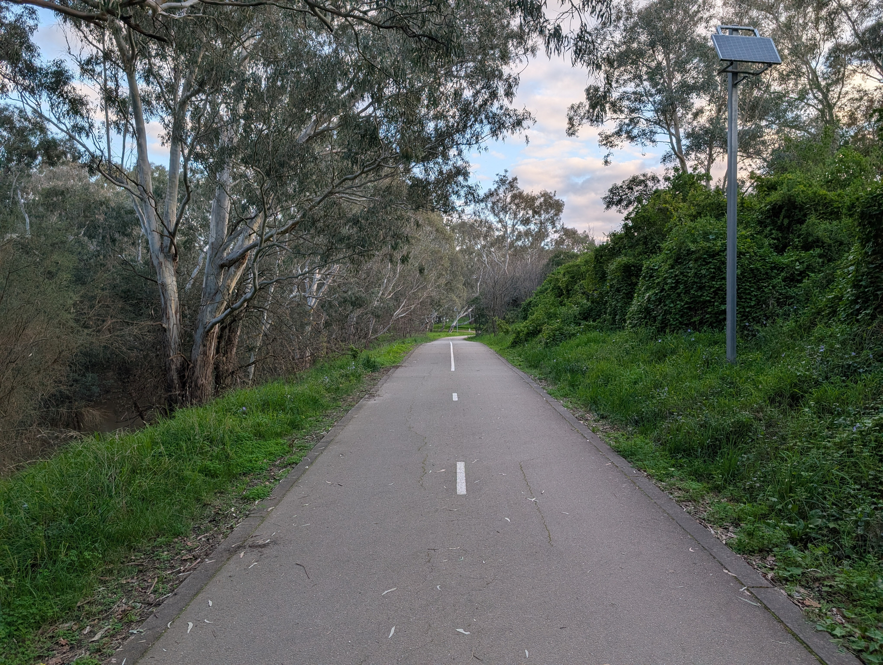A paved pathway runs through a green area with trees on one side and a solar-powered streetlight on the other.
