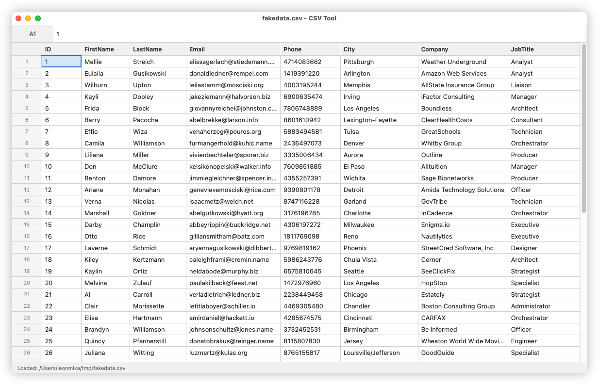 Auto-generated description: A table displays a list of names, contact details, and job information for various individuals, formatted like a spreadsheet or CSV file.