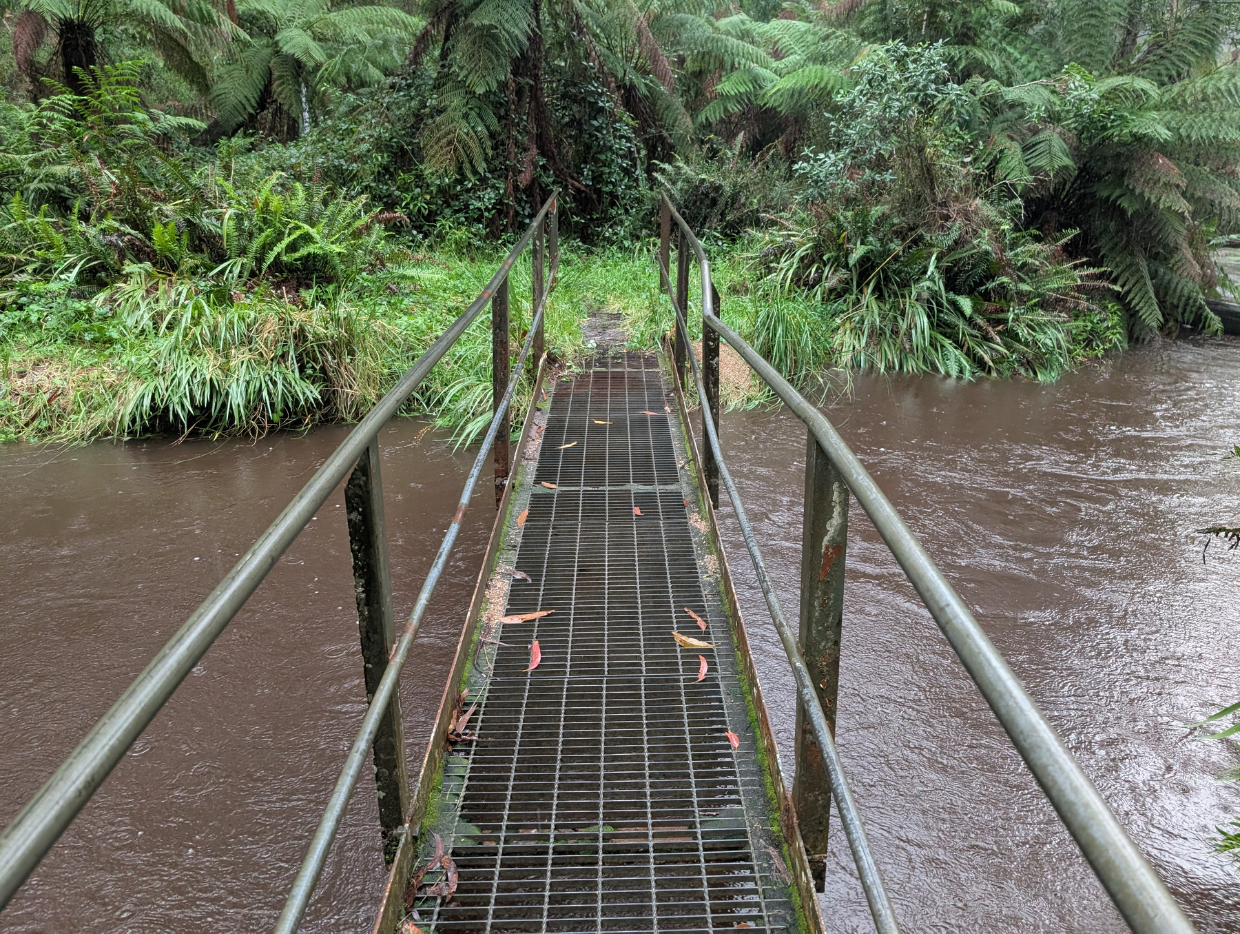 A narrow metal bridge with railings crosses over a muddy river surrounded by lush green foliage.
