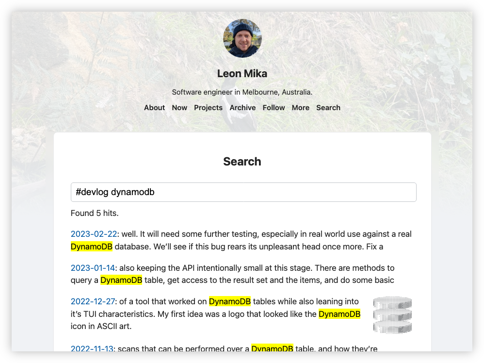 Auto-generated description: A search results page on Leon Mika's website displays five hits for the query #devlog dynamodb, with highlighted mentions of DynamoDB in the text snippets.