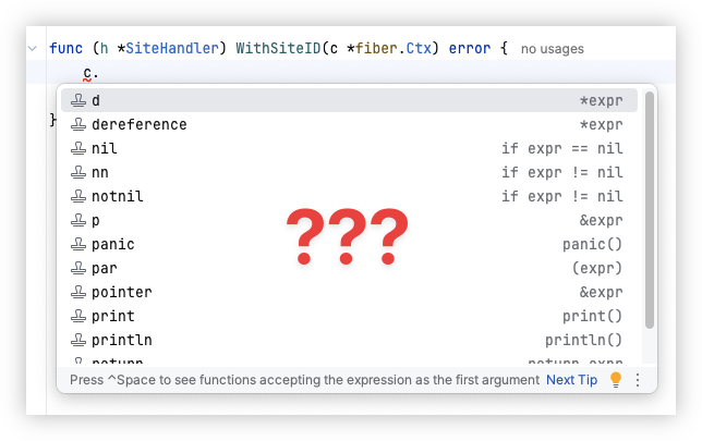 A code editor window displays a Go language method signature and a dropdown autocomplete list showing various suggestions such as d, dereference, nil, panic, and pointer, with a question mark graphic in the center.
