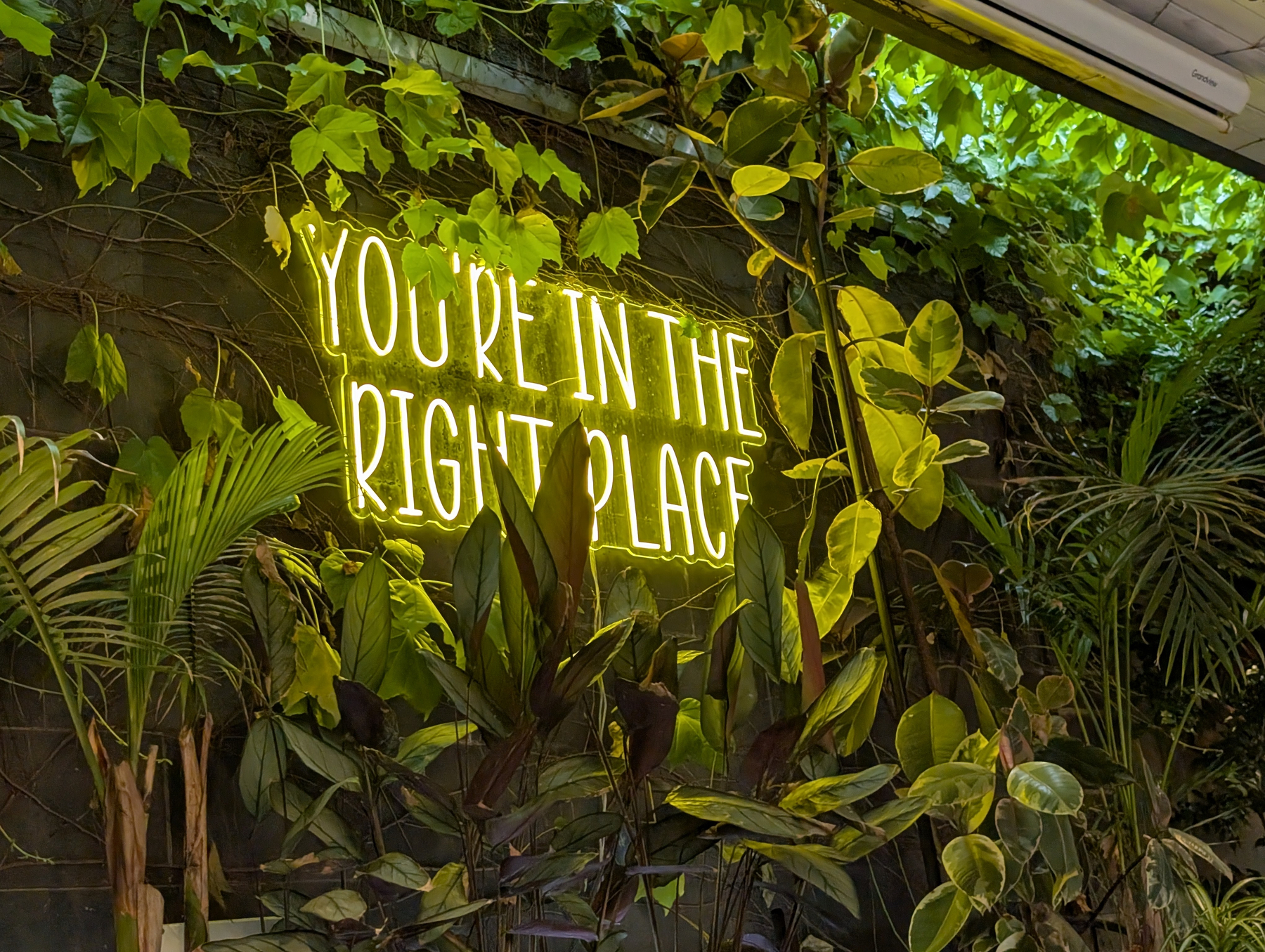 Auto-generated description: A neon sign reading YOU'RE IN THE RIGHT PLACE is surrounded by lush green plants.
