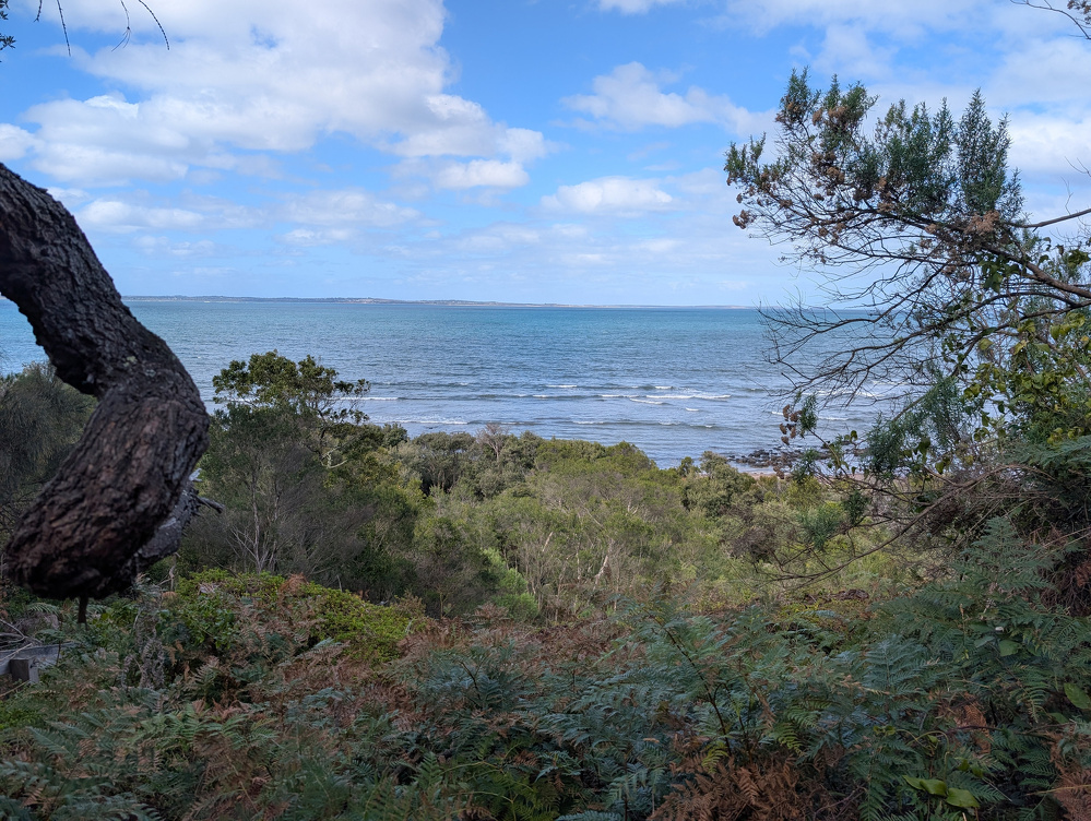 A scenic view of the ocean is framed by trees and greenery, under a partly cloudy sky.