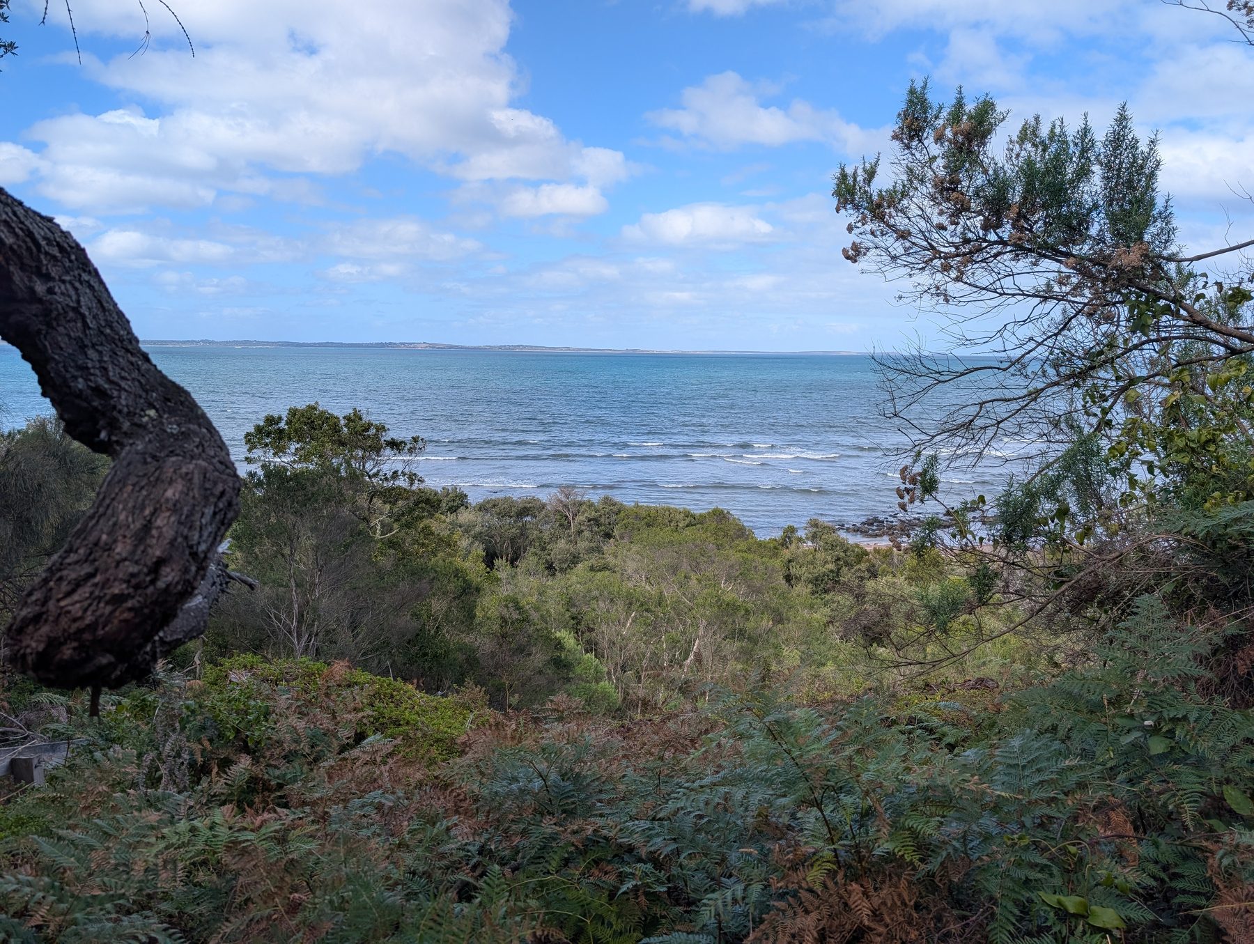 A scenic view of the ocean is framed by trees and greenery, under a partly cloudy sky.
