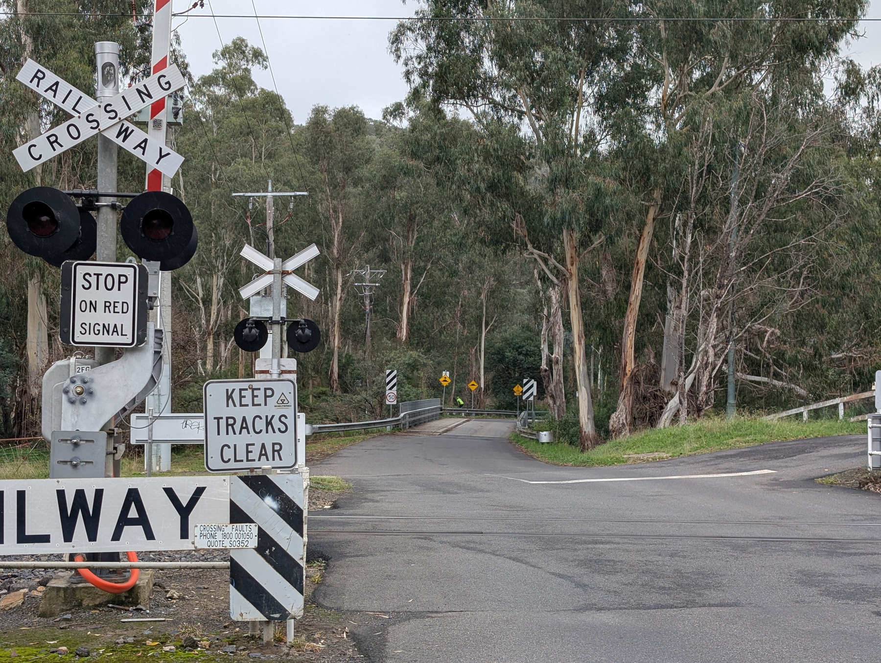 Auto-generated description: A railway crossing with multiple signs and signals is situated near a road bordered by dense trees.
