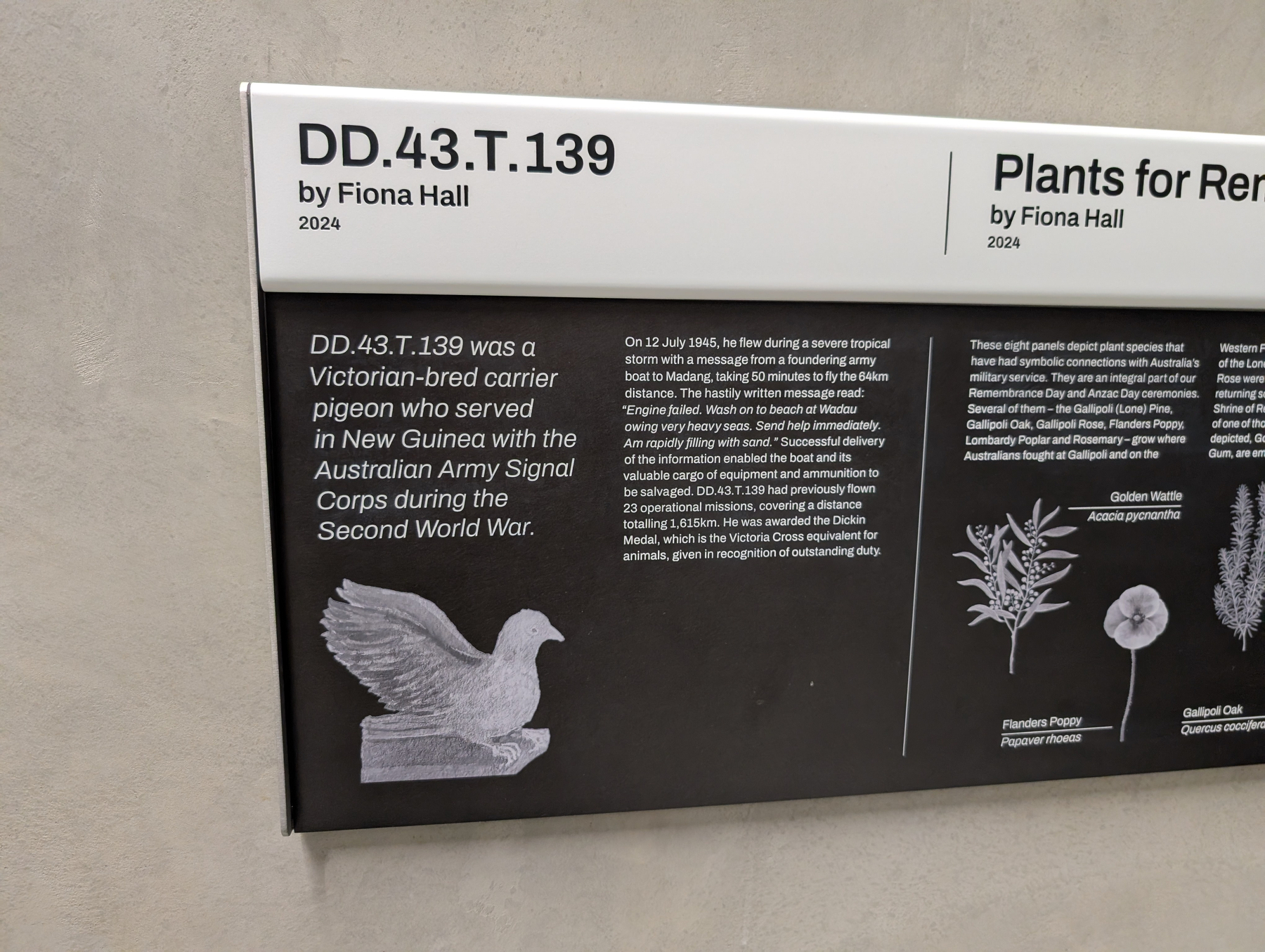 Auto-generated description: A display panel features information about a Victorian-bred carrier pigeon named DD.43.T.139, highlighting its service with the Australian Army Signal Corps during the Second World War.