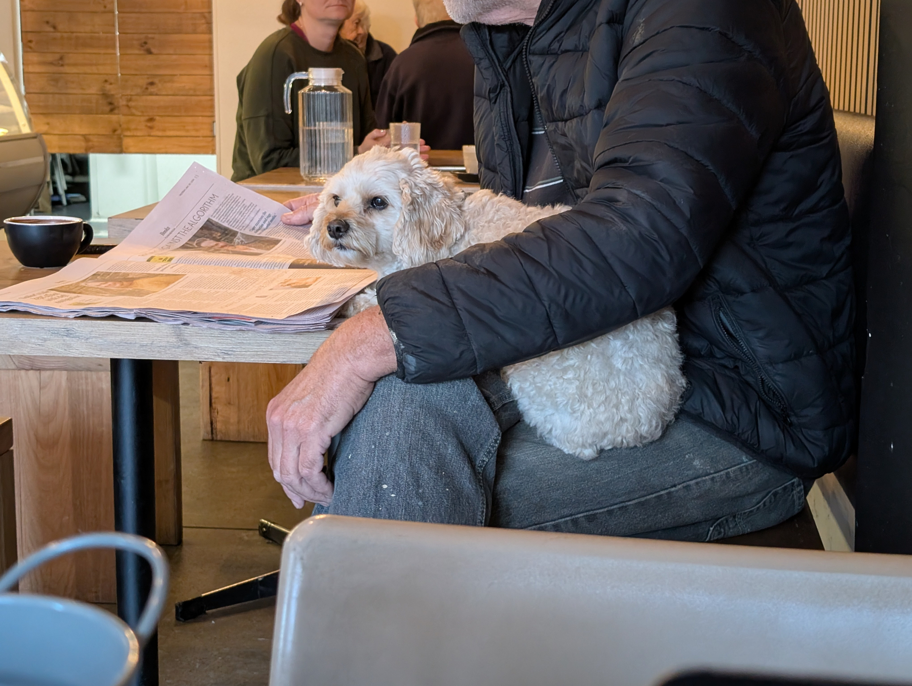 Auto-generated description: A fluffy white dog is sitting on a person's lap at a café table, while they read a newspaper.