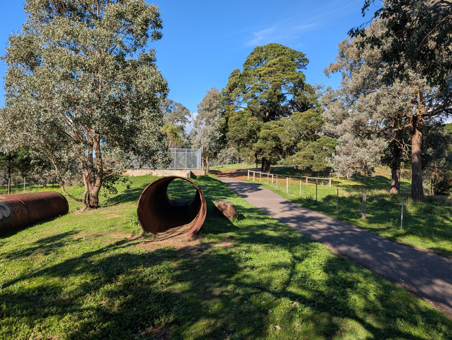 Auto-generated description: A sunny park scene features a walking path, large trees, and a hollow metal pipe lying on the grass.