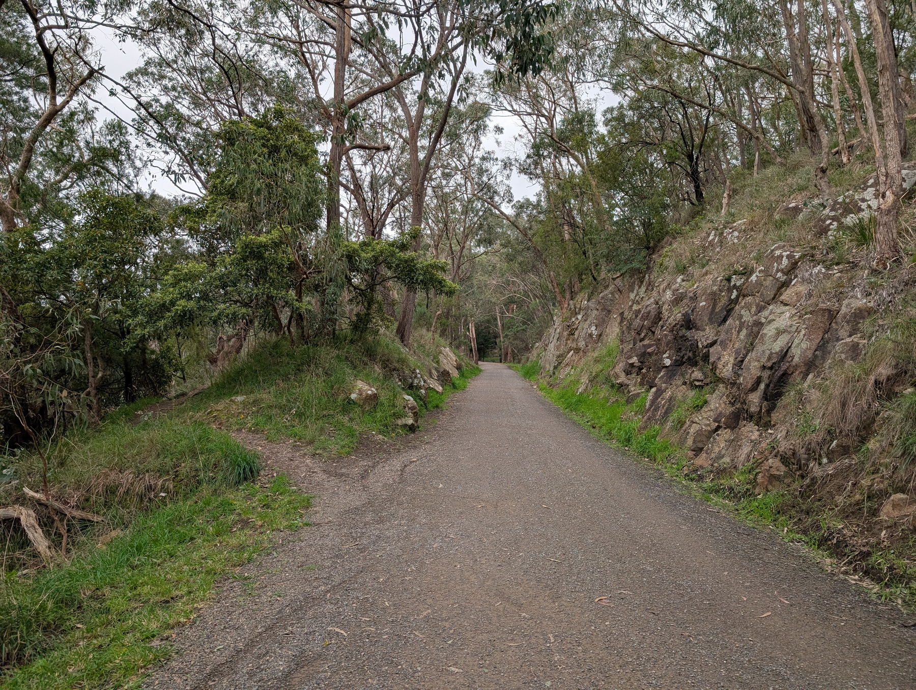 Auto-generated description: A gravel path winds through a wooded area with trees and rocky terrain on either side.