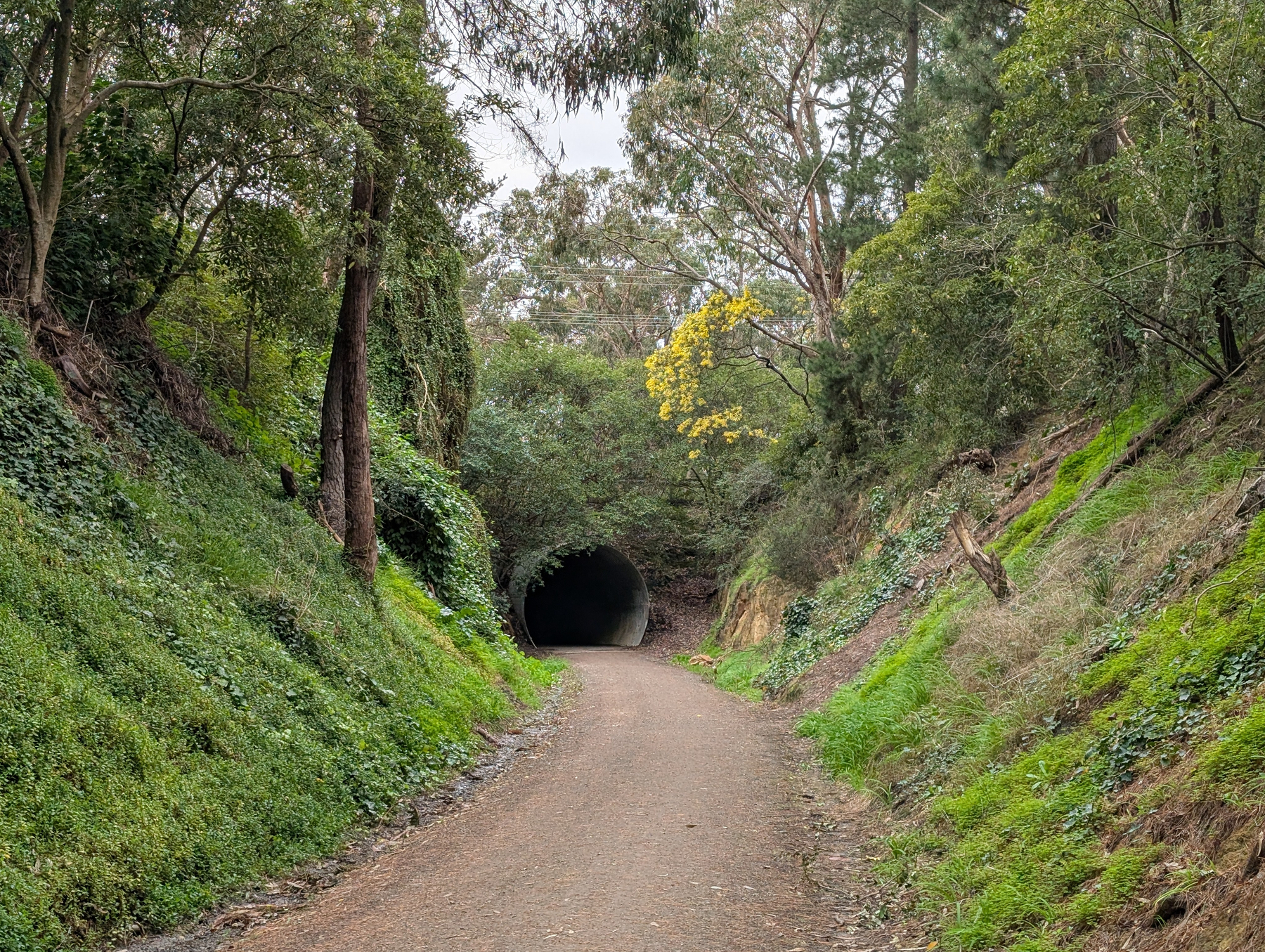 Auto-generated description: A dirt path leads through a lush, green forest towards a dark tunnel opening surrounded by trees and vegetation.