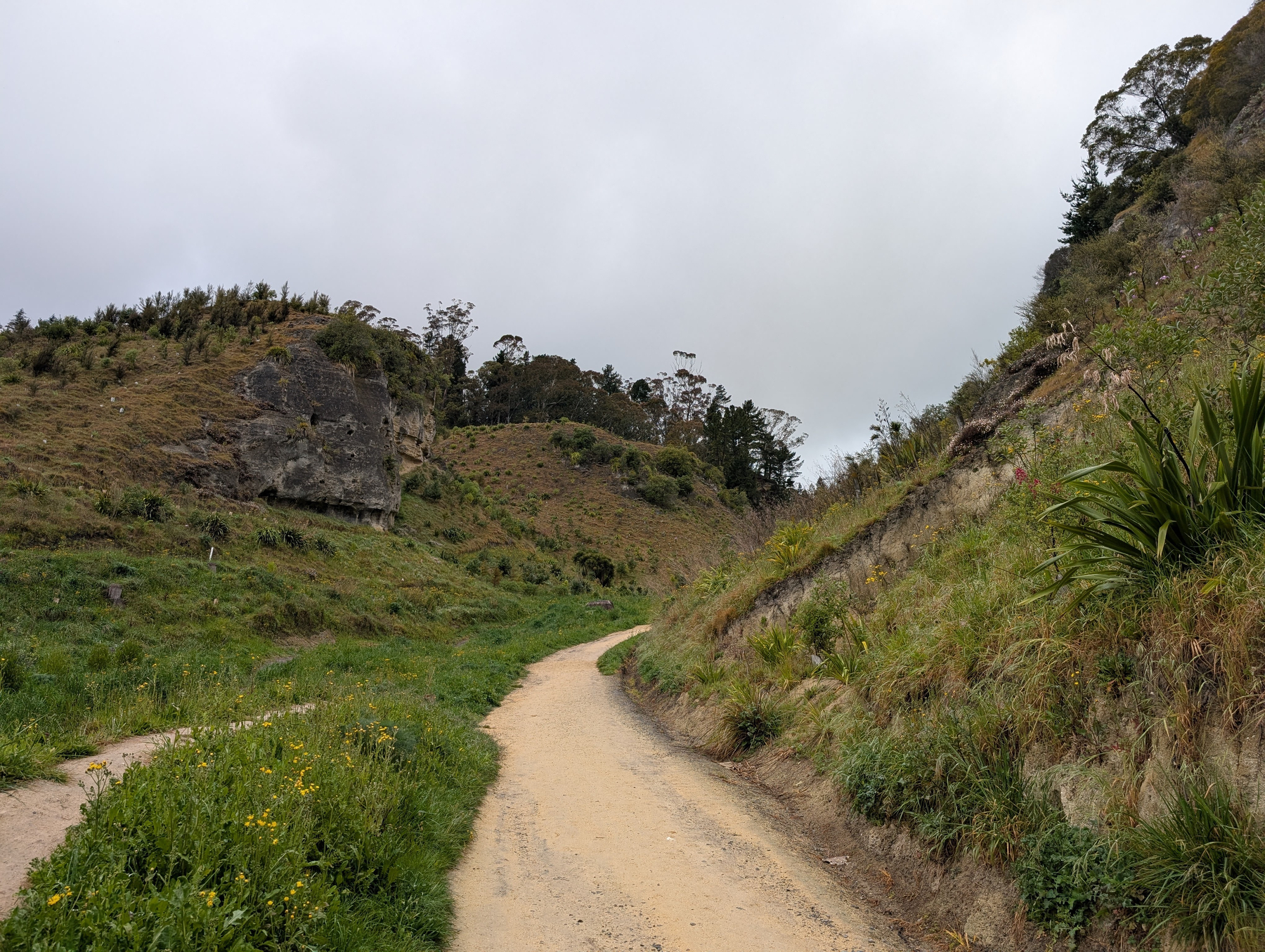 Auto-generated description: A winding dirt path cuts through a grassy hillside with scattered shrubs and wildflowers under a cloudy sky.
