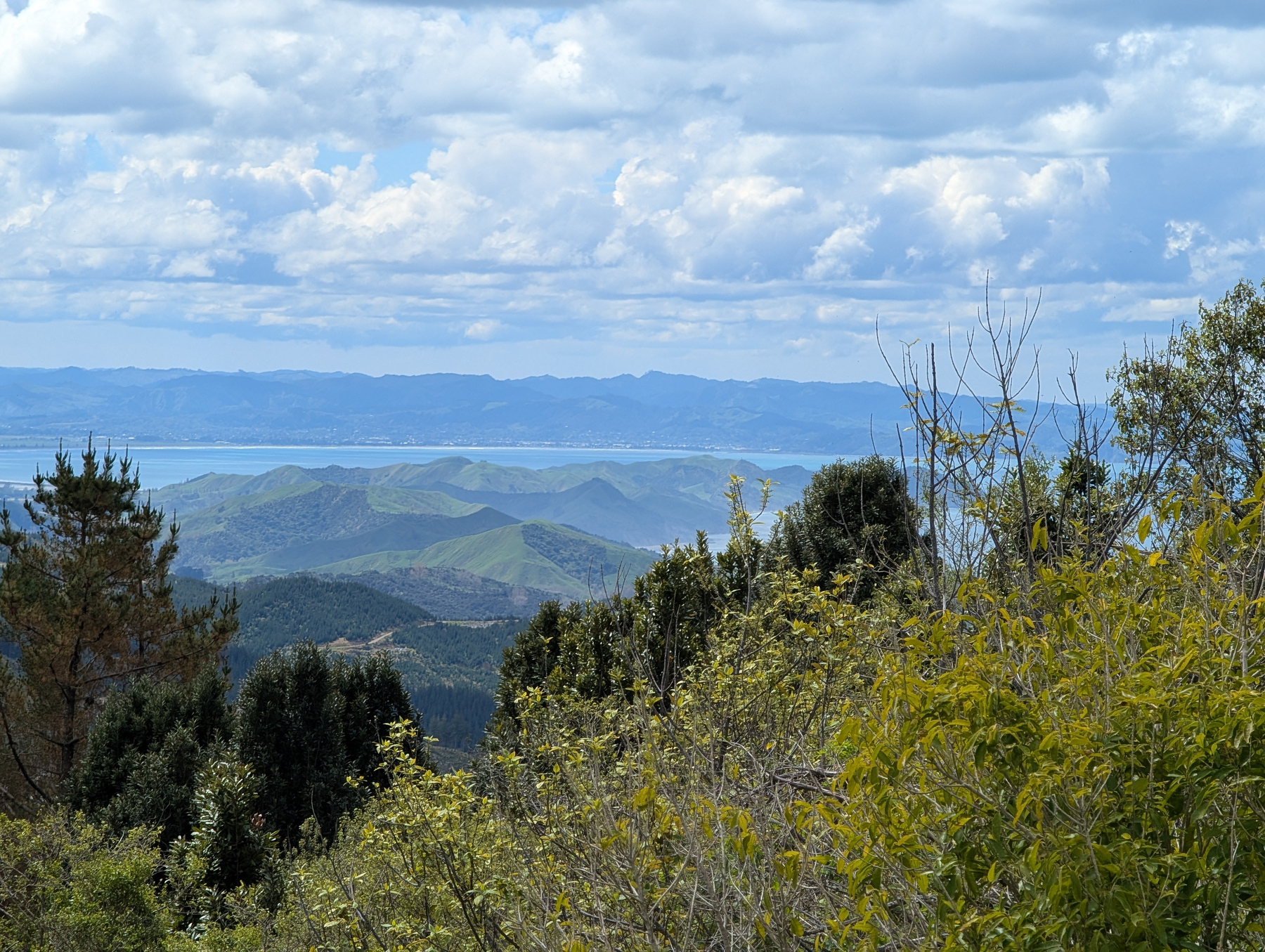 Auto-generated description: A scenic view of rolling green hills and distant mountains beneath a partly cloudy sky, framed by various trees and shrubs in the foreground.