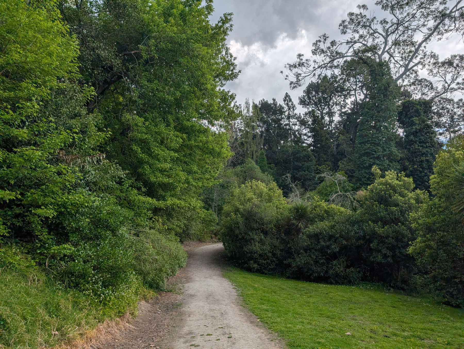 Auto-generated description: A winding dirt path runs through a lush green park surrounded by dense trees and bushes under a cloudy sky.