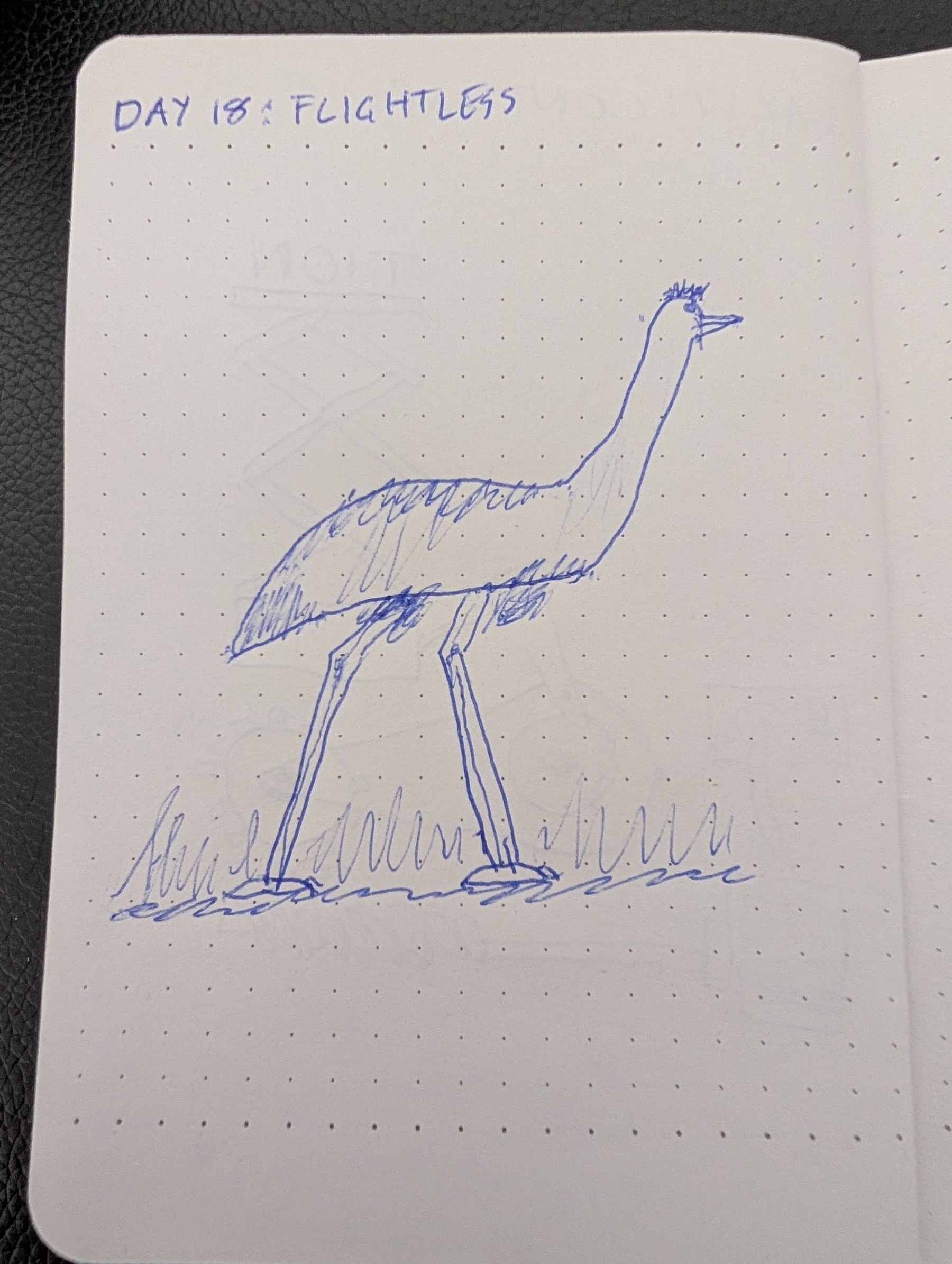 Auto-generated description: A simple blue pen sketch depicts an emu standing on the ground with grass around its legs, labeled as Day 18: Flightless.