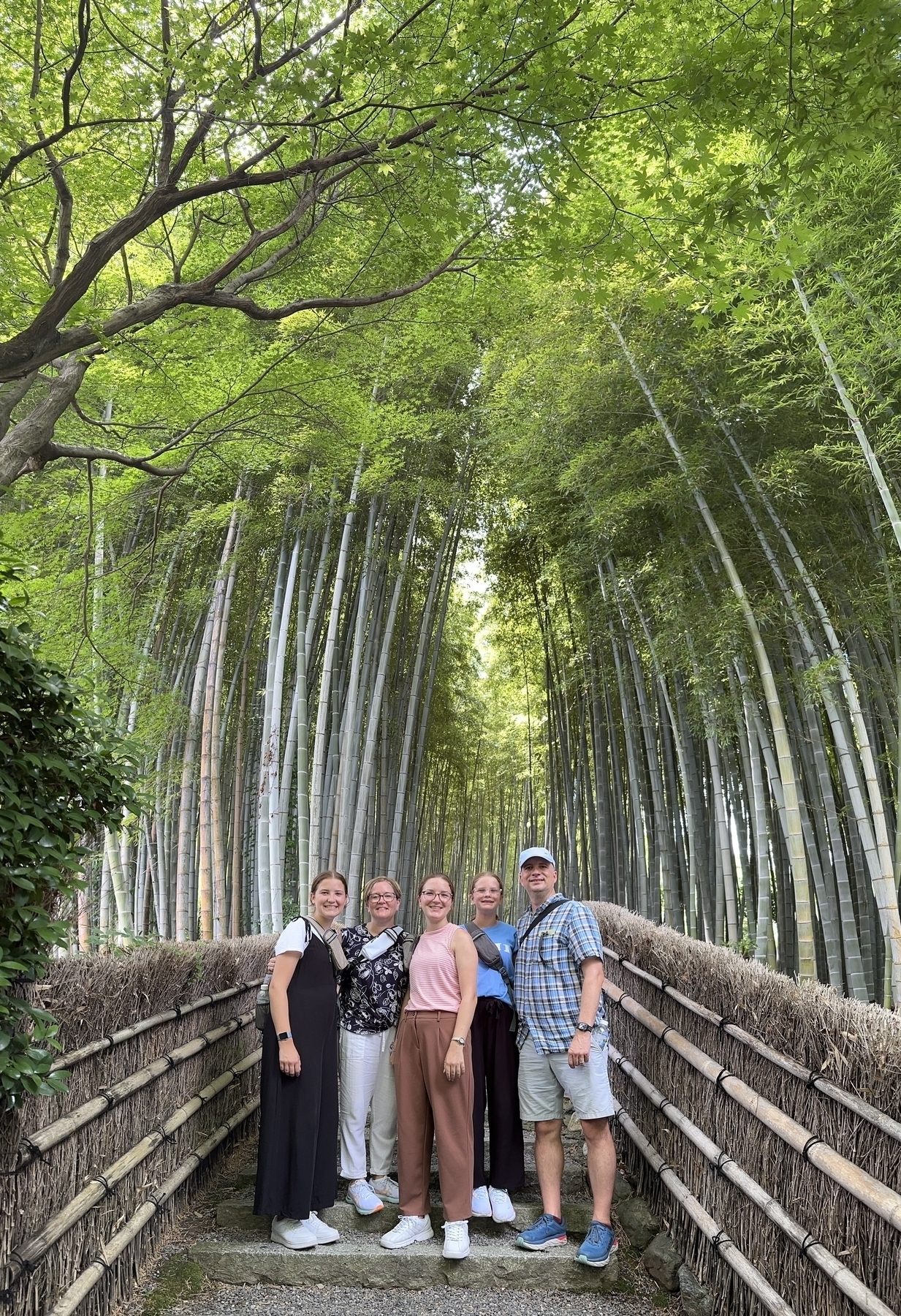 Bamboo forest at Nembutsu-ji Temple
