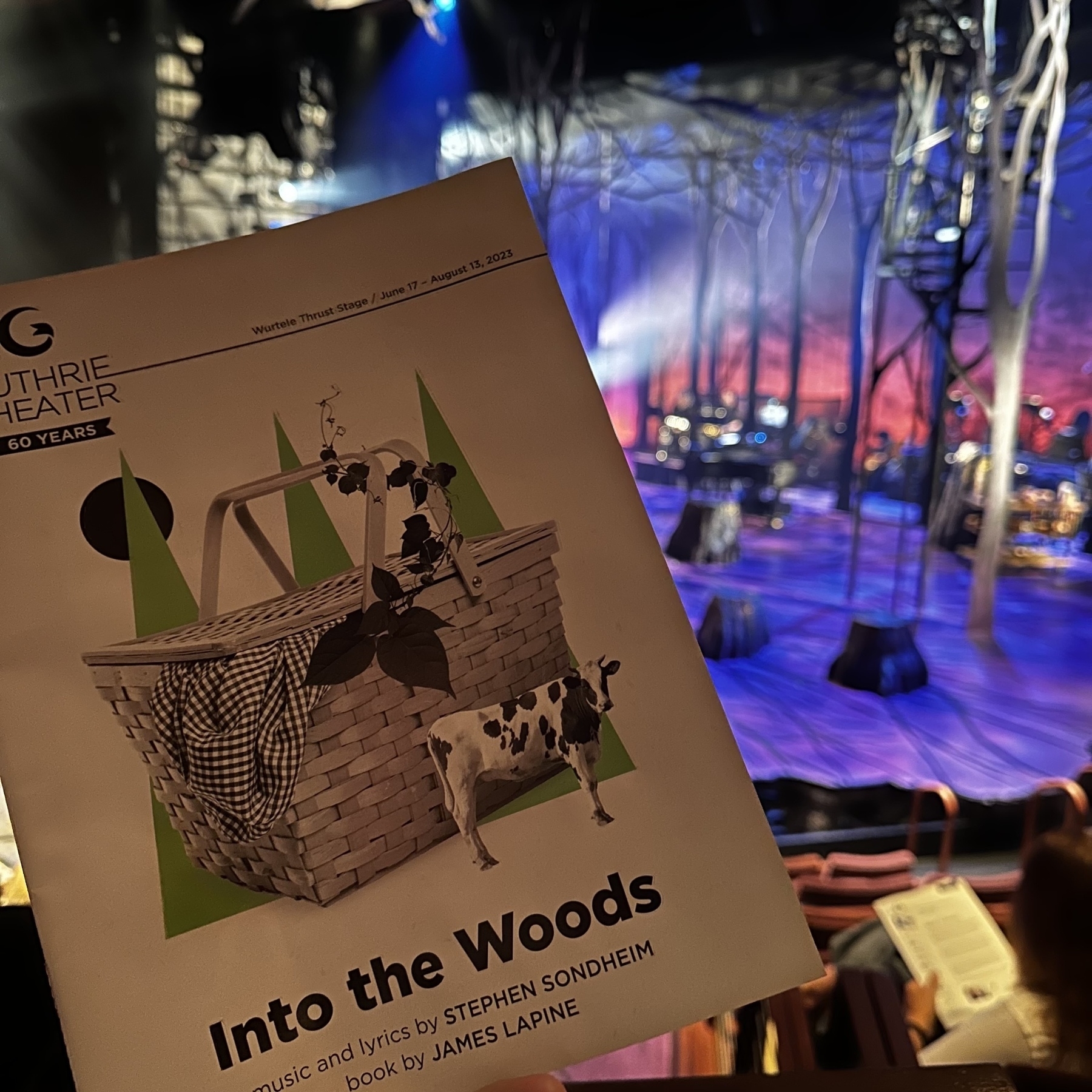 Into the Woods stage at the Guthrie in Minneapolis.