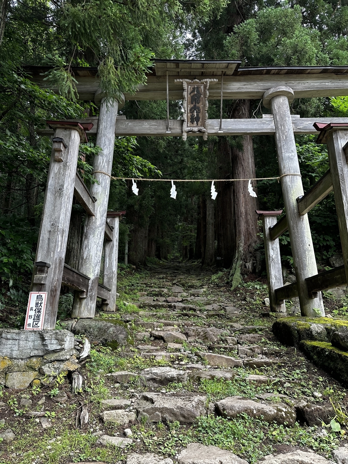 Torii gate to shrine