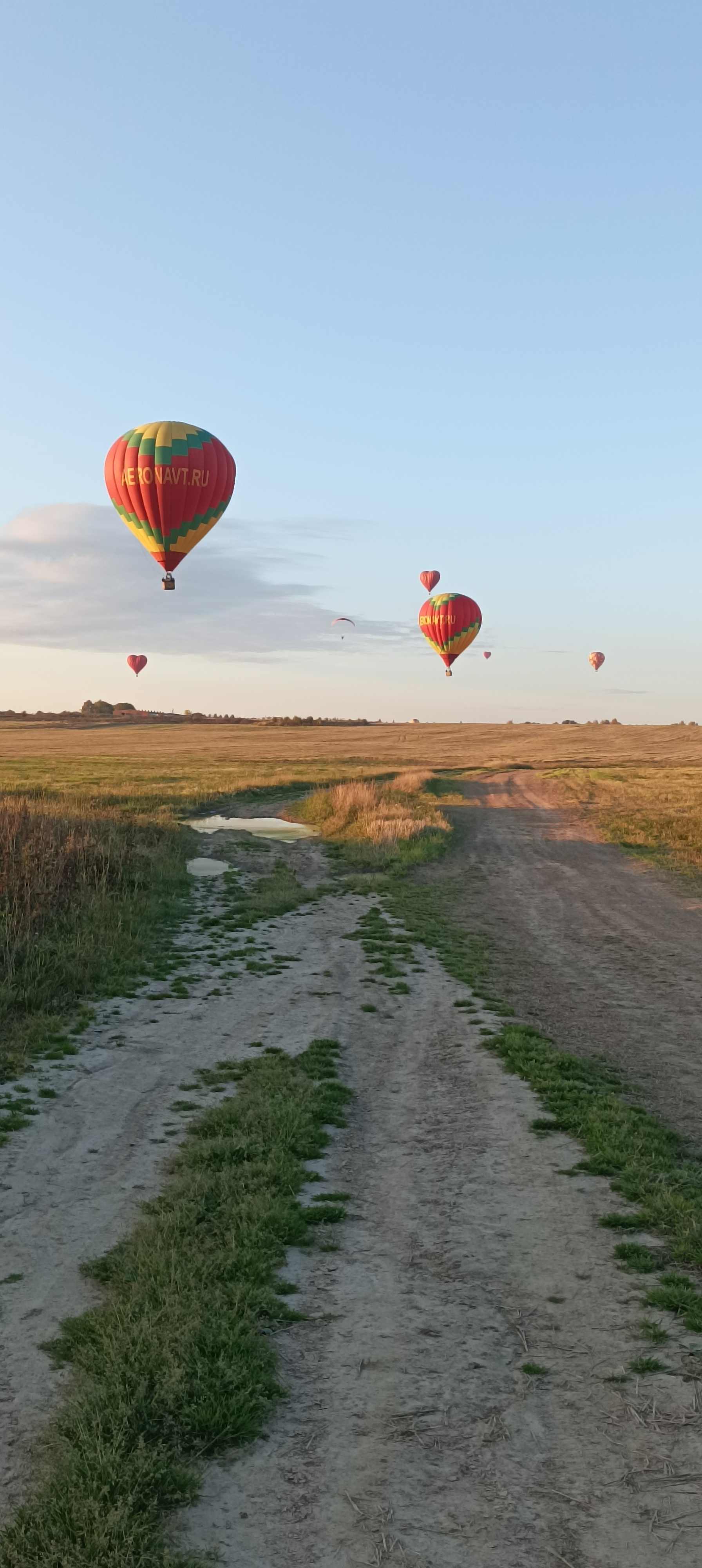 Several colorful hot air balloons are floating above a grassy field under a clear sky.