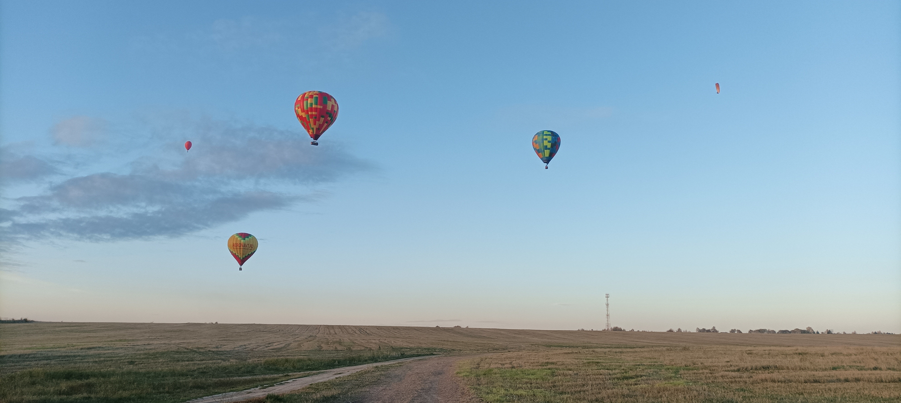 Several colorful hot air balloons are floating in a clear sky above an open field with a dirt path running through it.