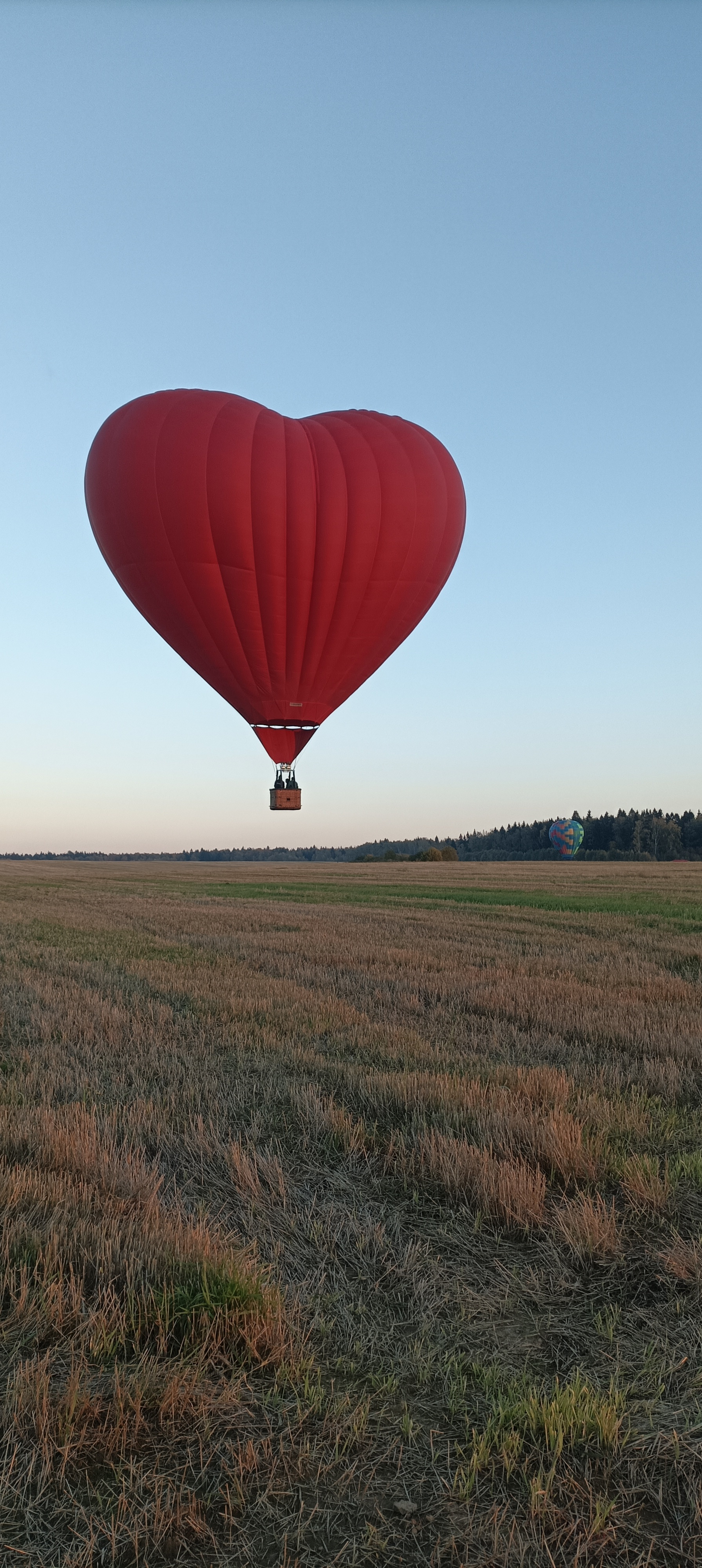 A large red heart-shaped hot air balloon is floating above a brown field with a clear blue sky in the background.