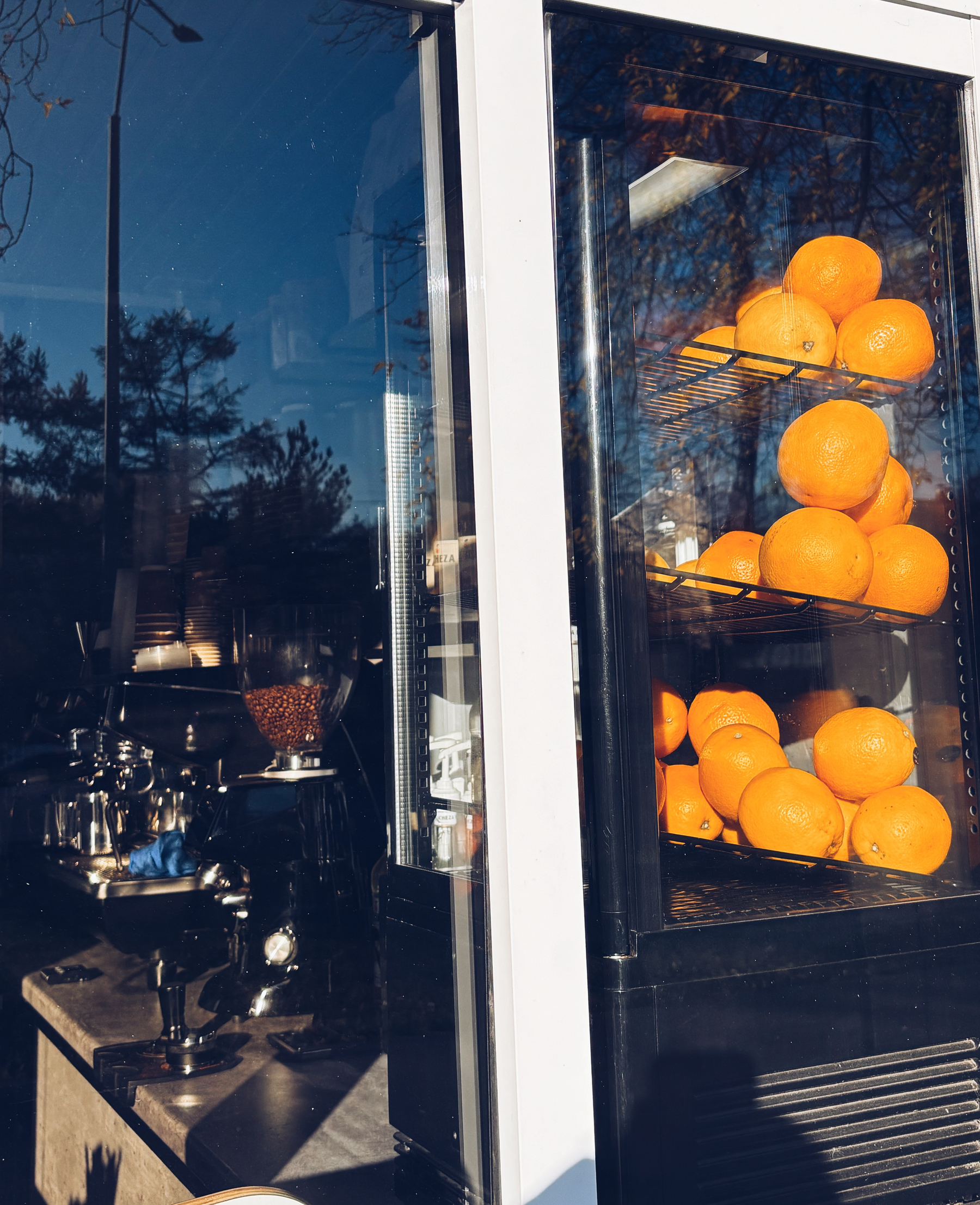 A display case filled with fresh oranges is placed next to a coffee machine inside a café.