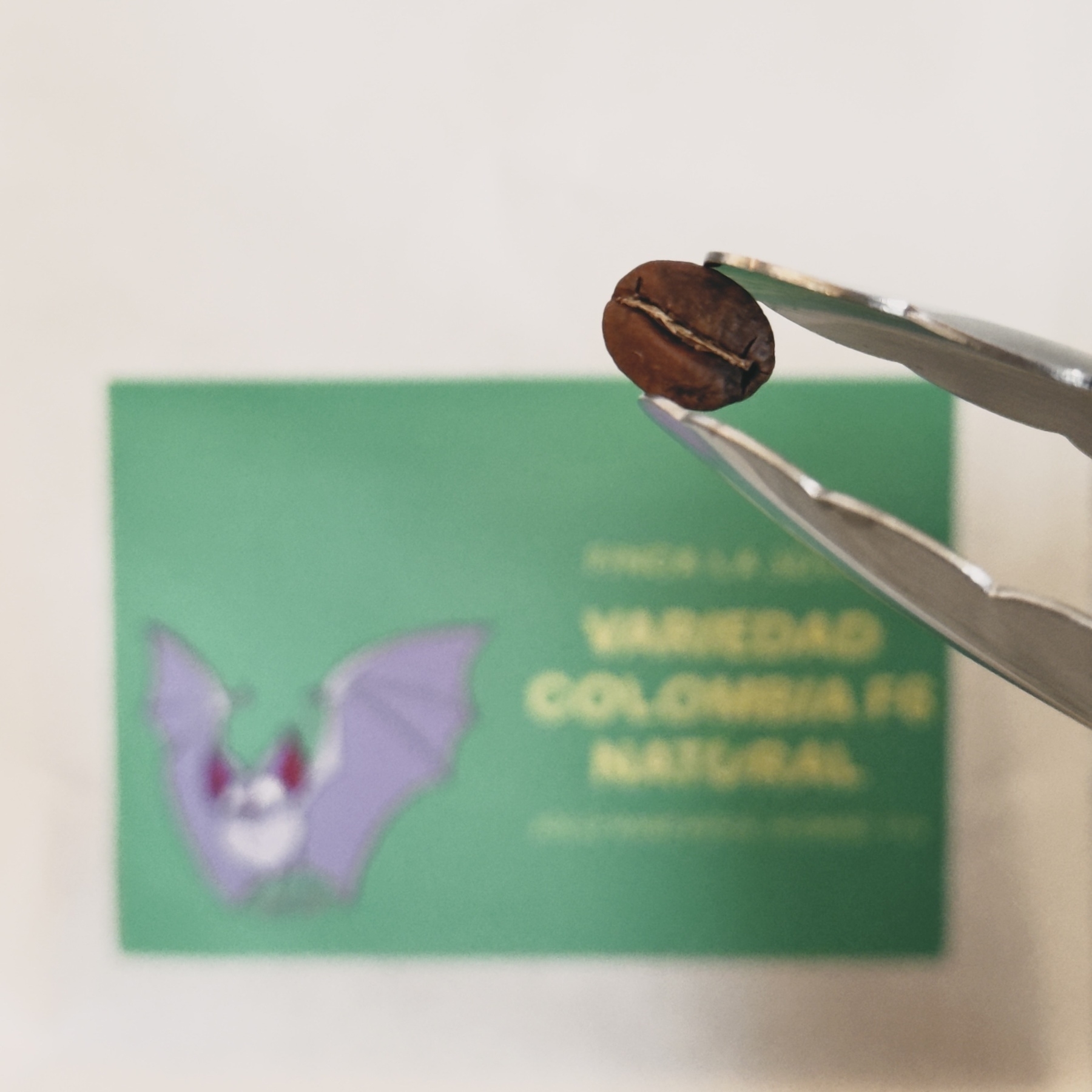 Coffee bean held by tongs above a blurred out coffee bag labeled Variedad Colombia F6 Natural