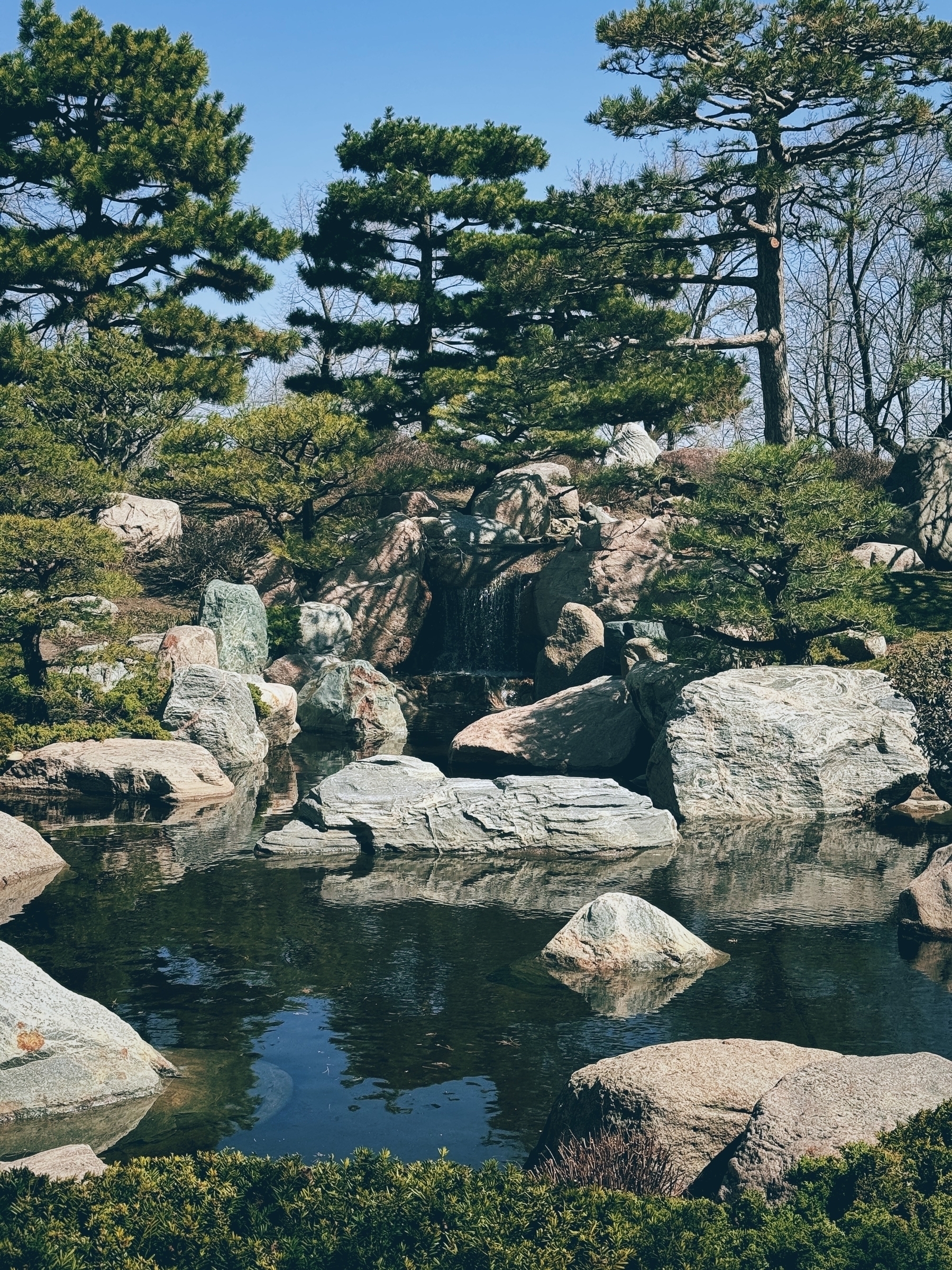 Manicured Japanese garden with rocks, water, and trees. 