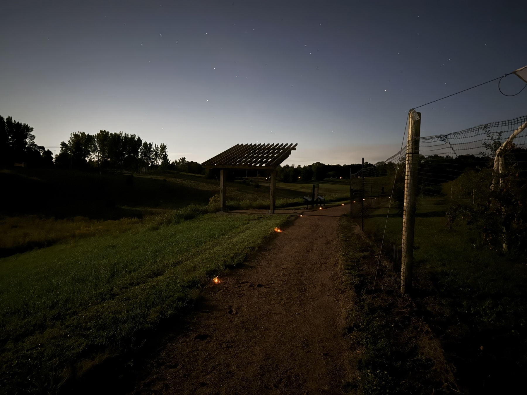 A dimly lit path surrounded by grass and trees is illuminated by small lights under a clear night sky.