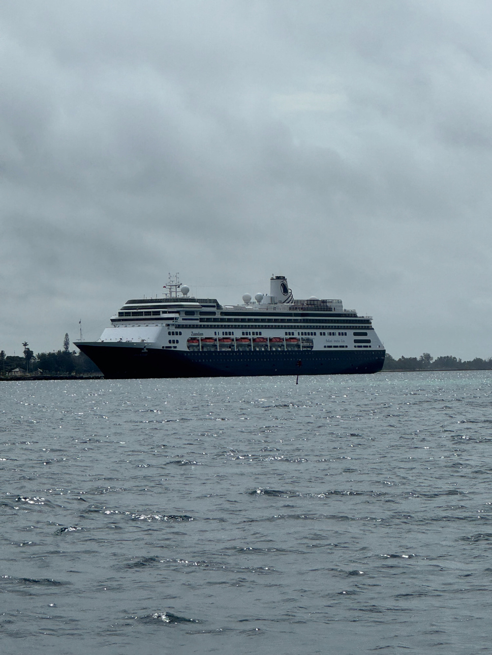 A large cruise ship sails on a cloudy ocean.