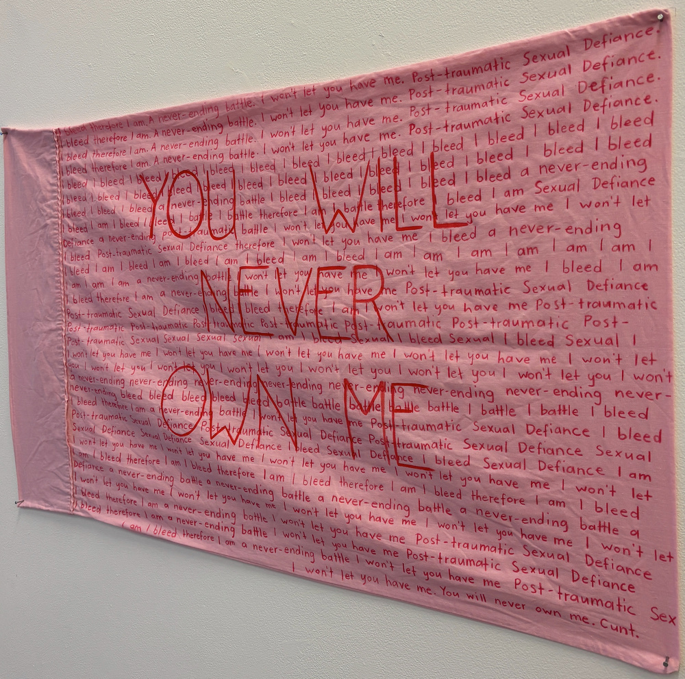 A pink flag features the prominent message YOU WILL NEVER OWN ME in red letters, surrounded by repeated phrases about personal defiance and trauma.