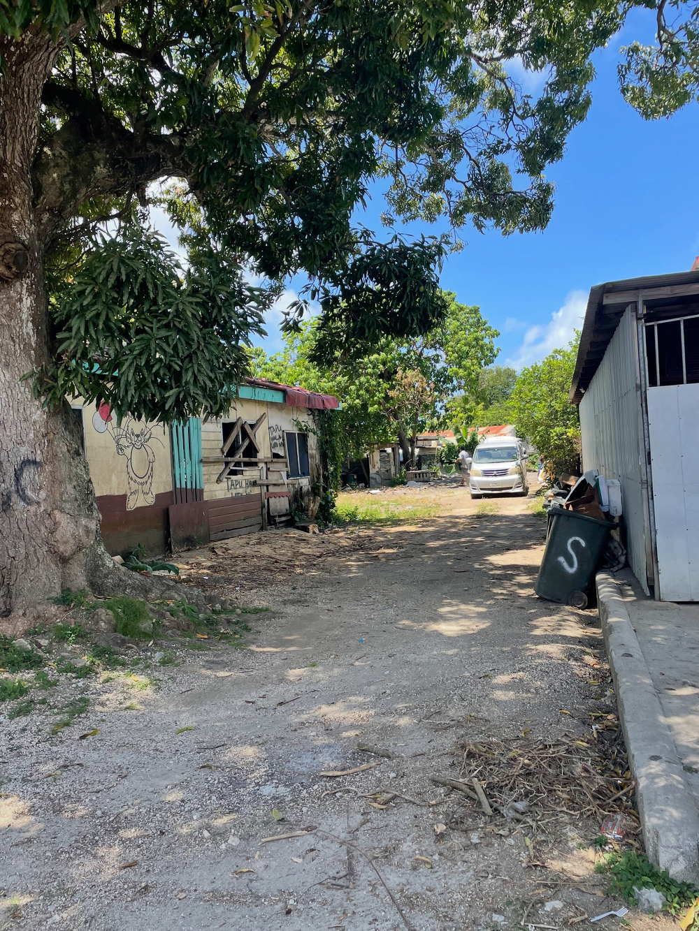 A rustic rural setting features a tree with graffiti, a small building with colorful artwork on its side, and a car parked under a clear blue sky.