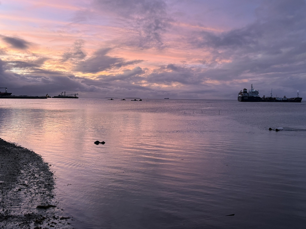 A serene coastal scene at sunset features gentle waves, a silhouetted ship in the distance, and a sky painted with soft purple and pink hues.