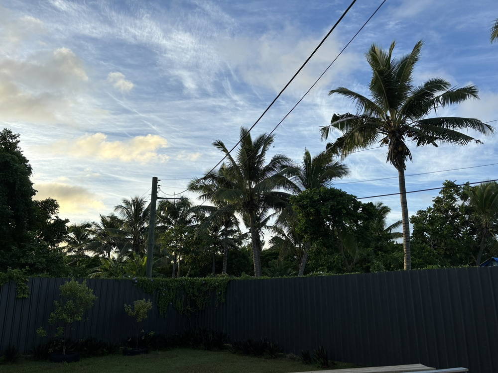 Palm trees and a vibrant sky create a tropical atmosphere behind a tall fence.
