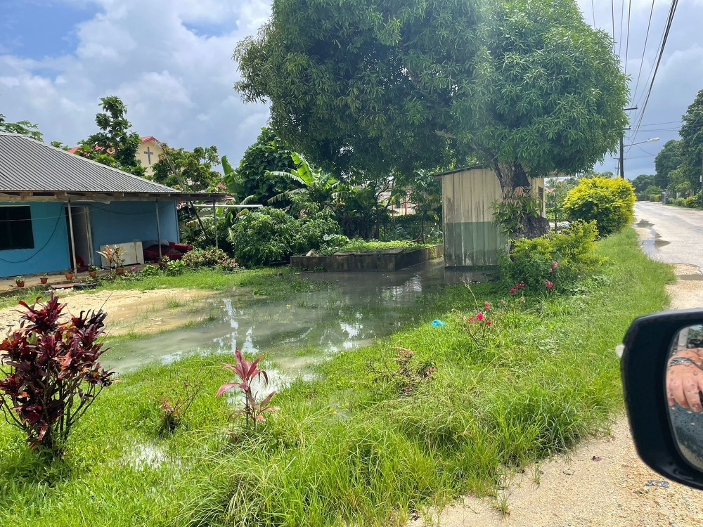 A flooded area is surrounded by greenery and buildings, with water reflecting the cloudy sky.